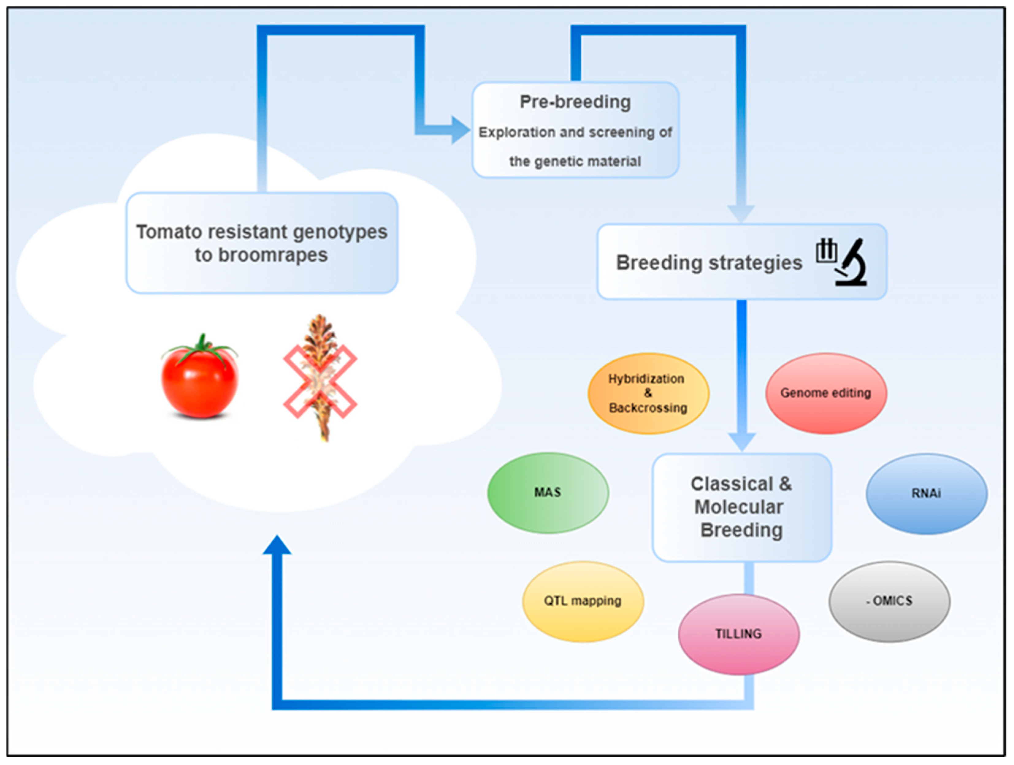 Biotech 14 00040 g002