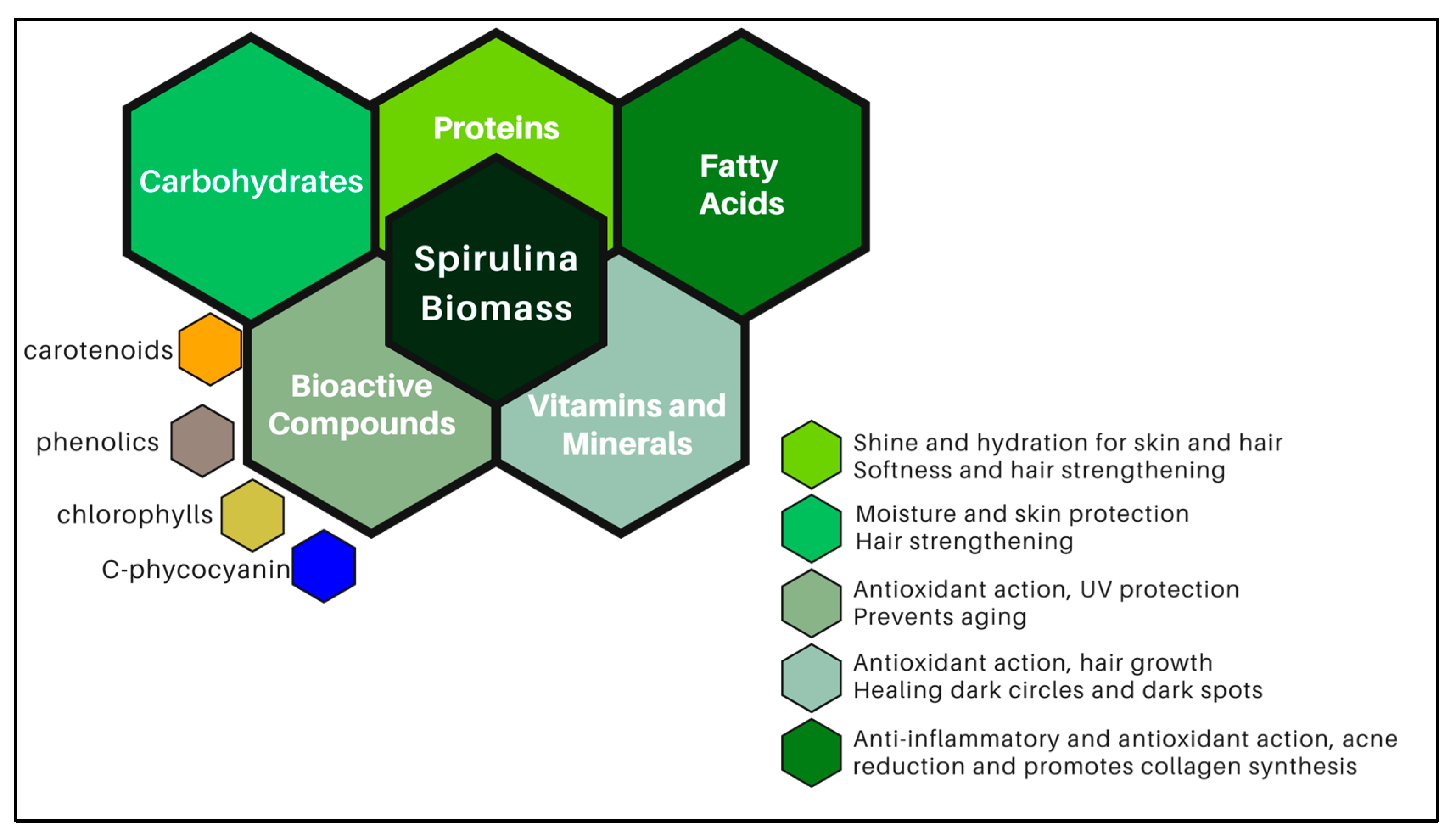 Biotech 14 00041 g003