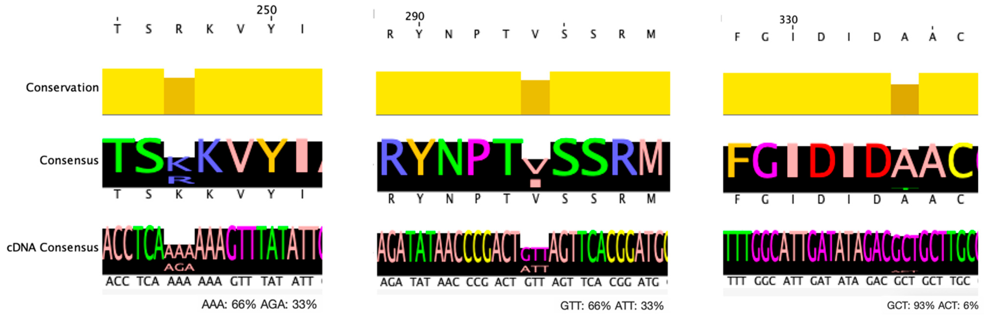 Biotech 14 00042 g003