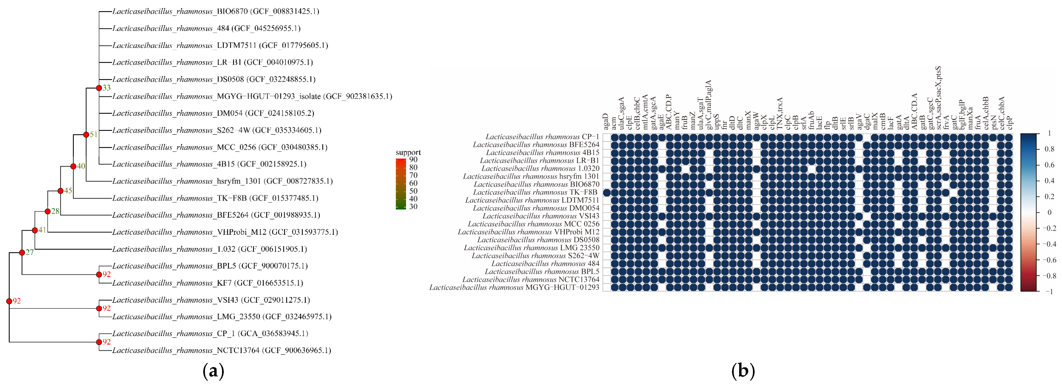 Biotech 14 00047 g007