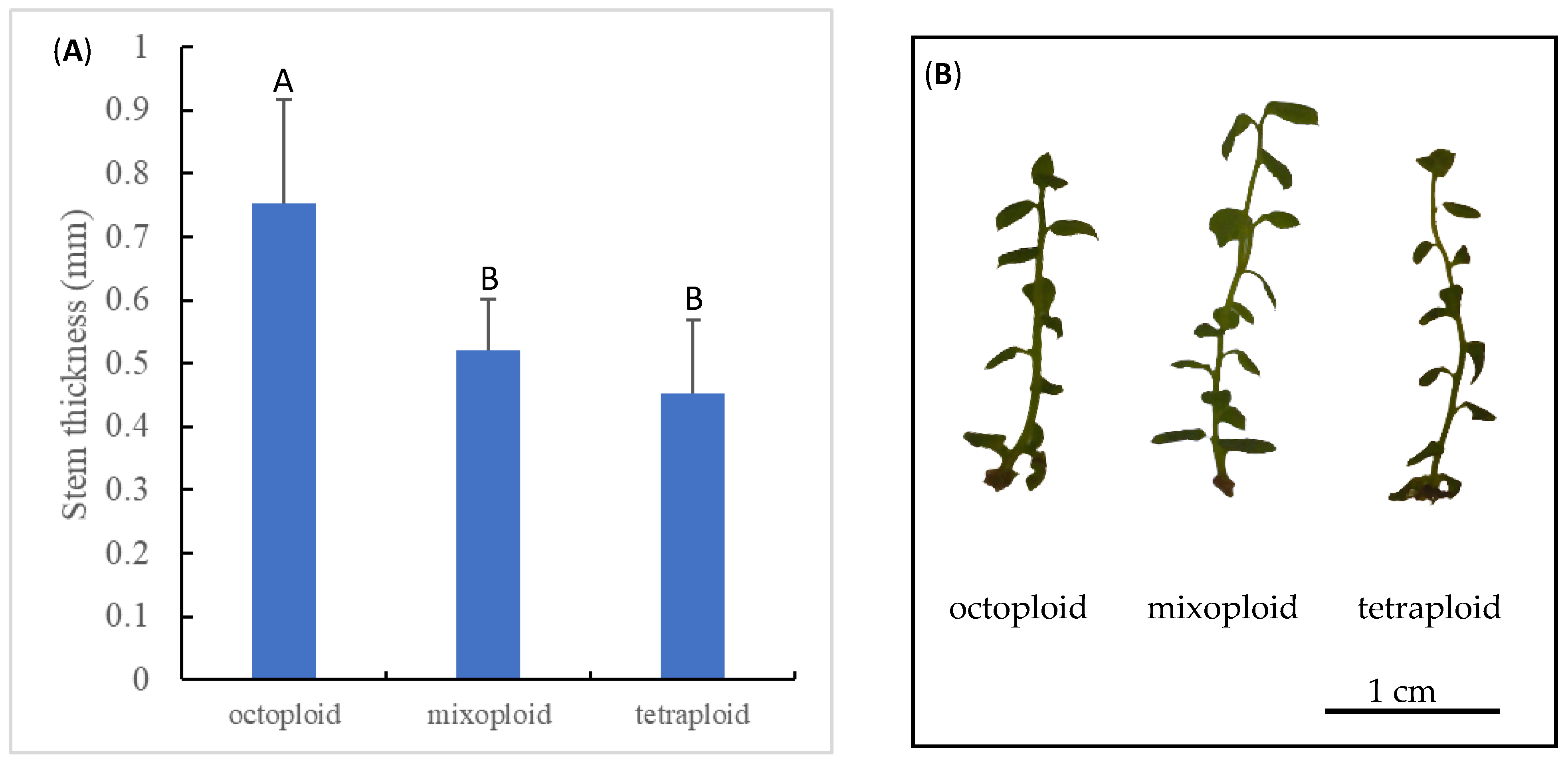 Biotech 14 00048 g005