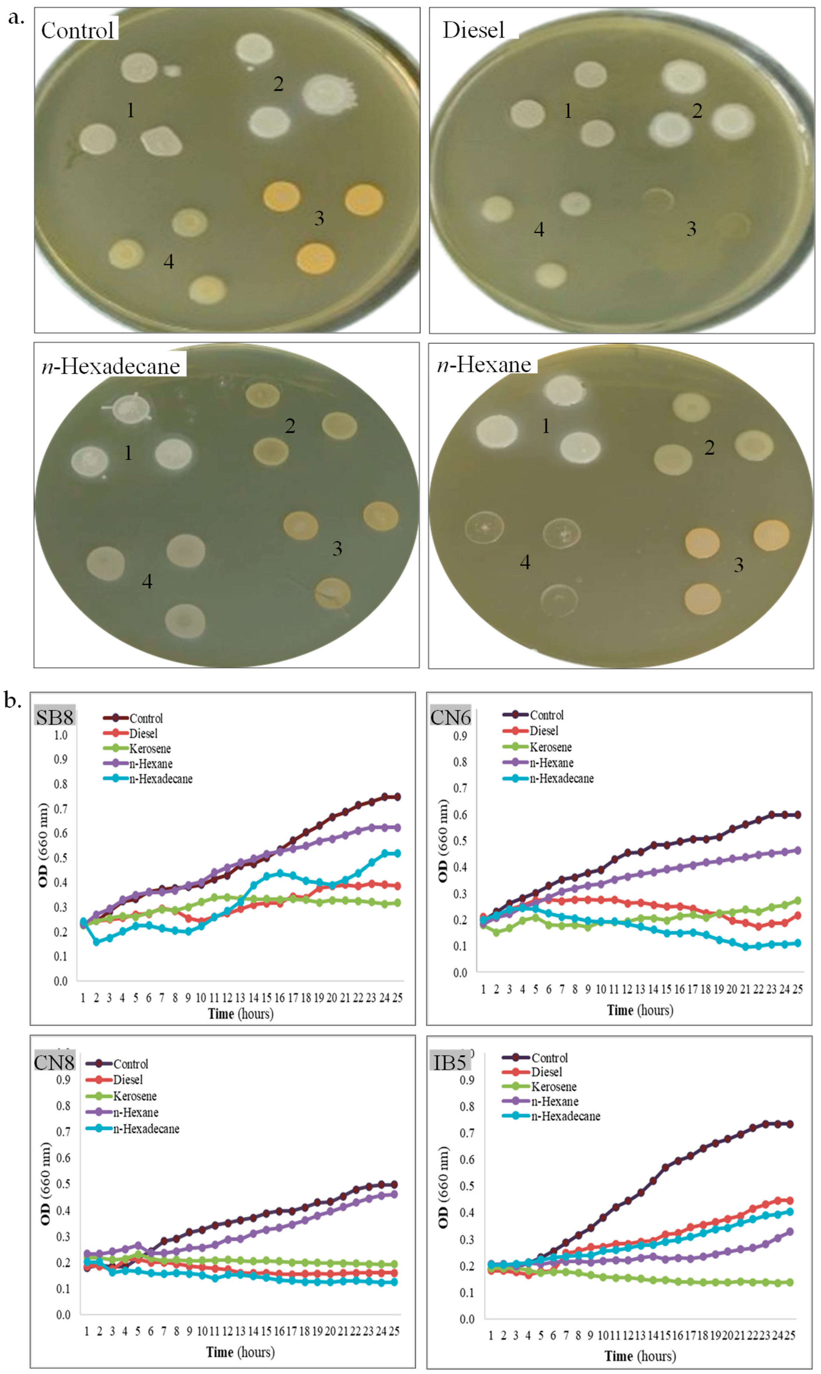 Biotech 14 00049 g003