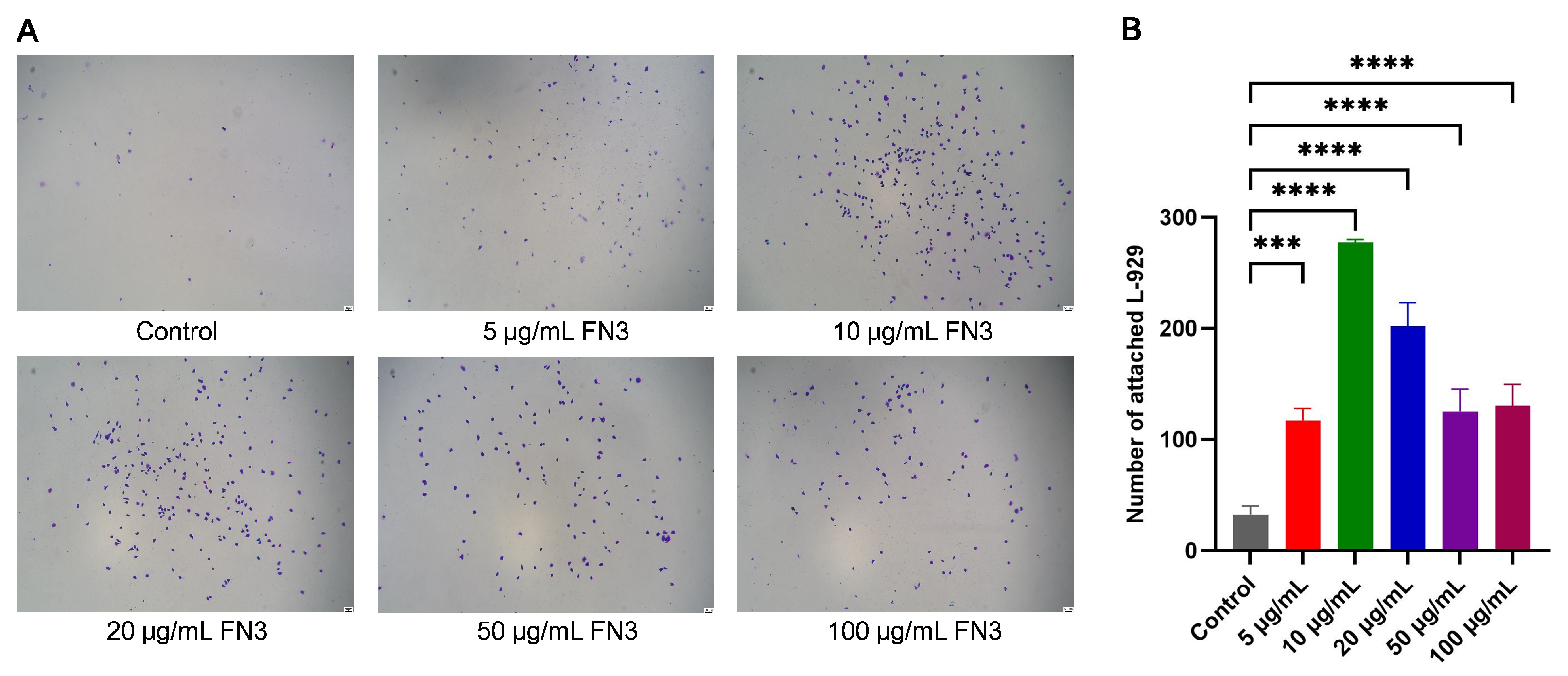 Biotech 14 00051 g007