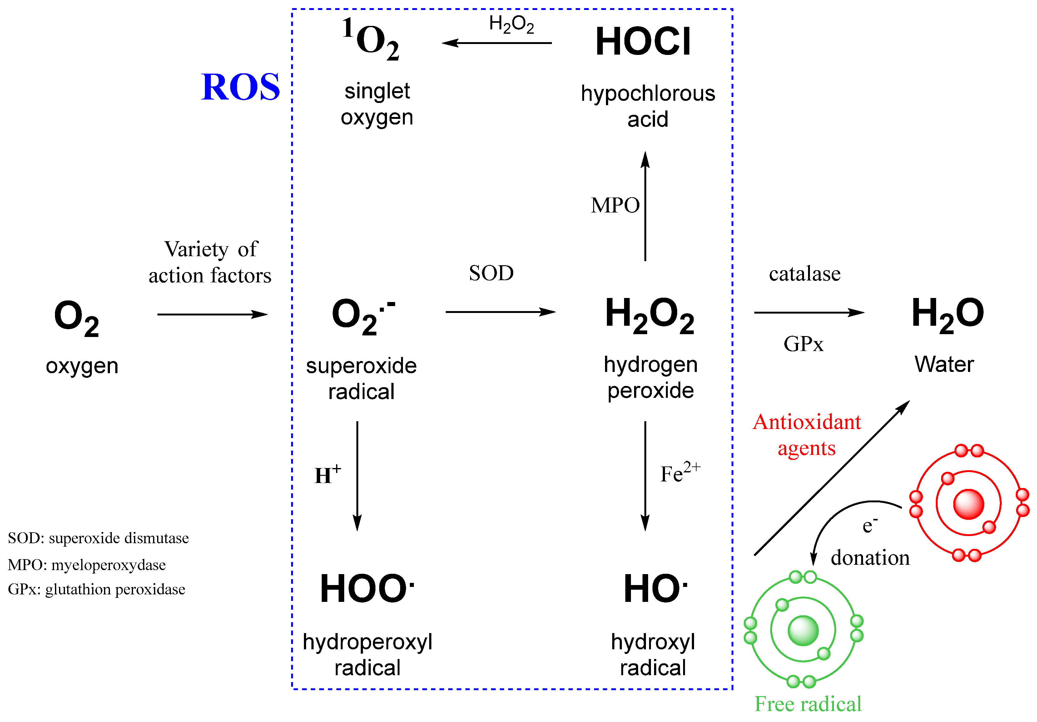 Biotech 14 00052 g002 Biotech 14 00052 g002