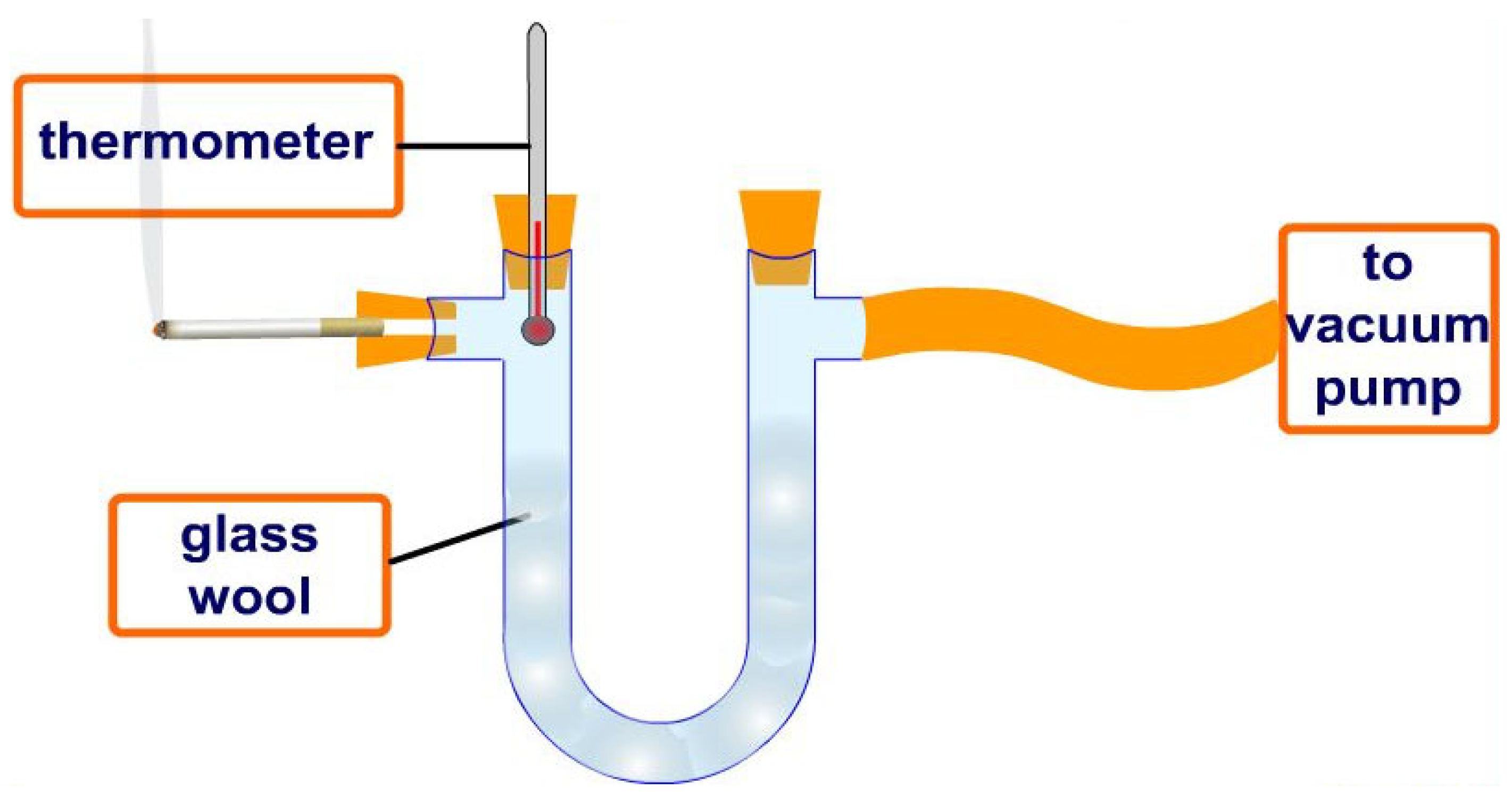Biotech 14 00052 g004 Biotech 14 00052 g004