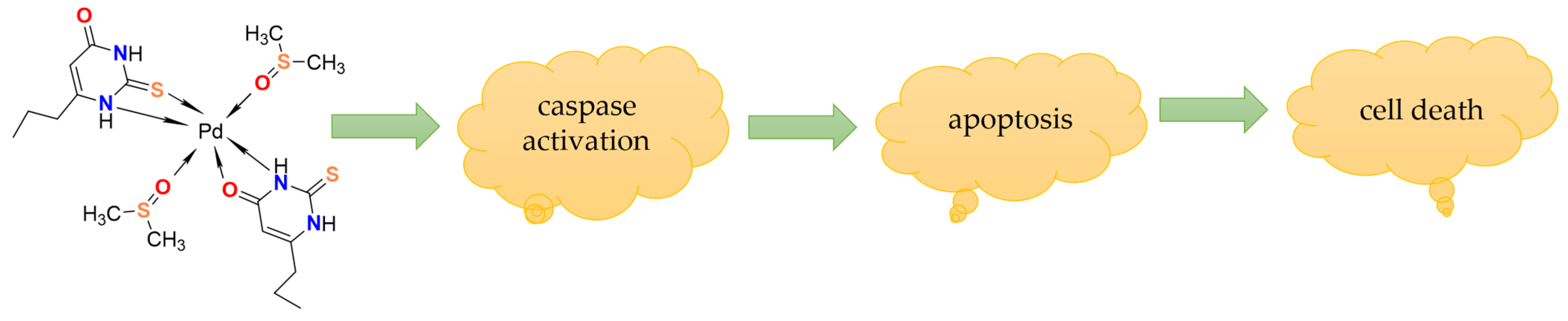 Biotech 14 00053 sch002