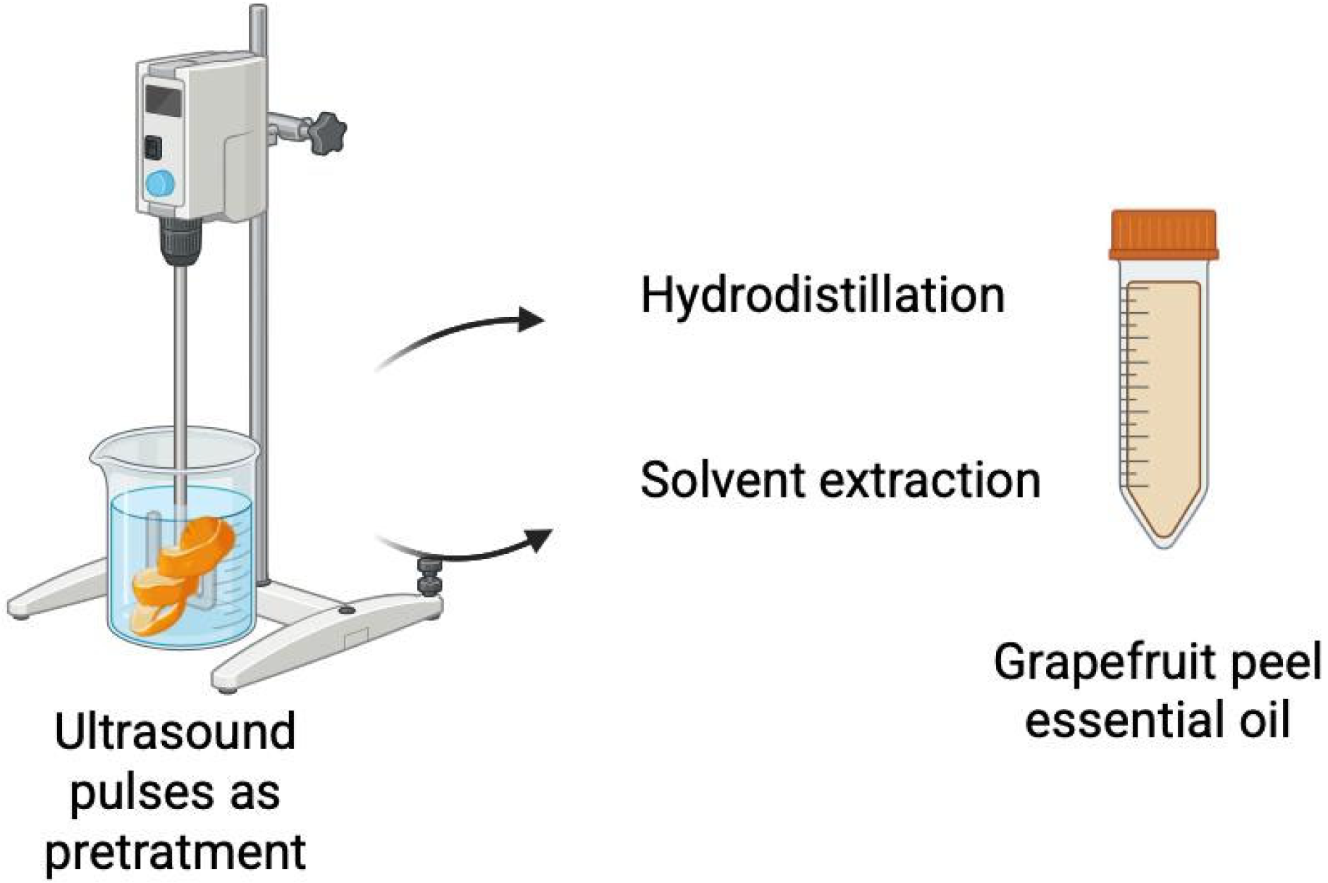Biotech 14 00059 g001 Biotech 14 00059 g001