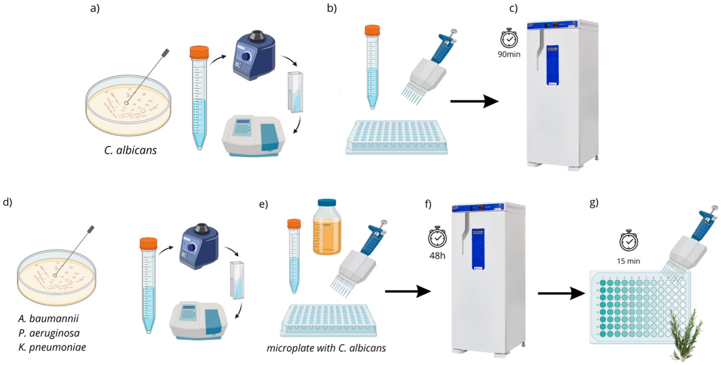 Biotech 14 00061 g001