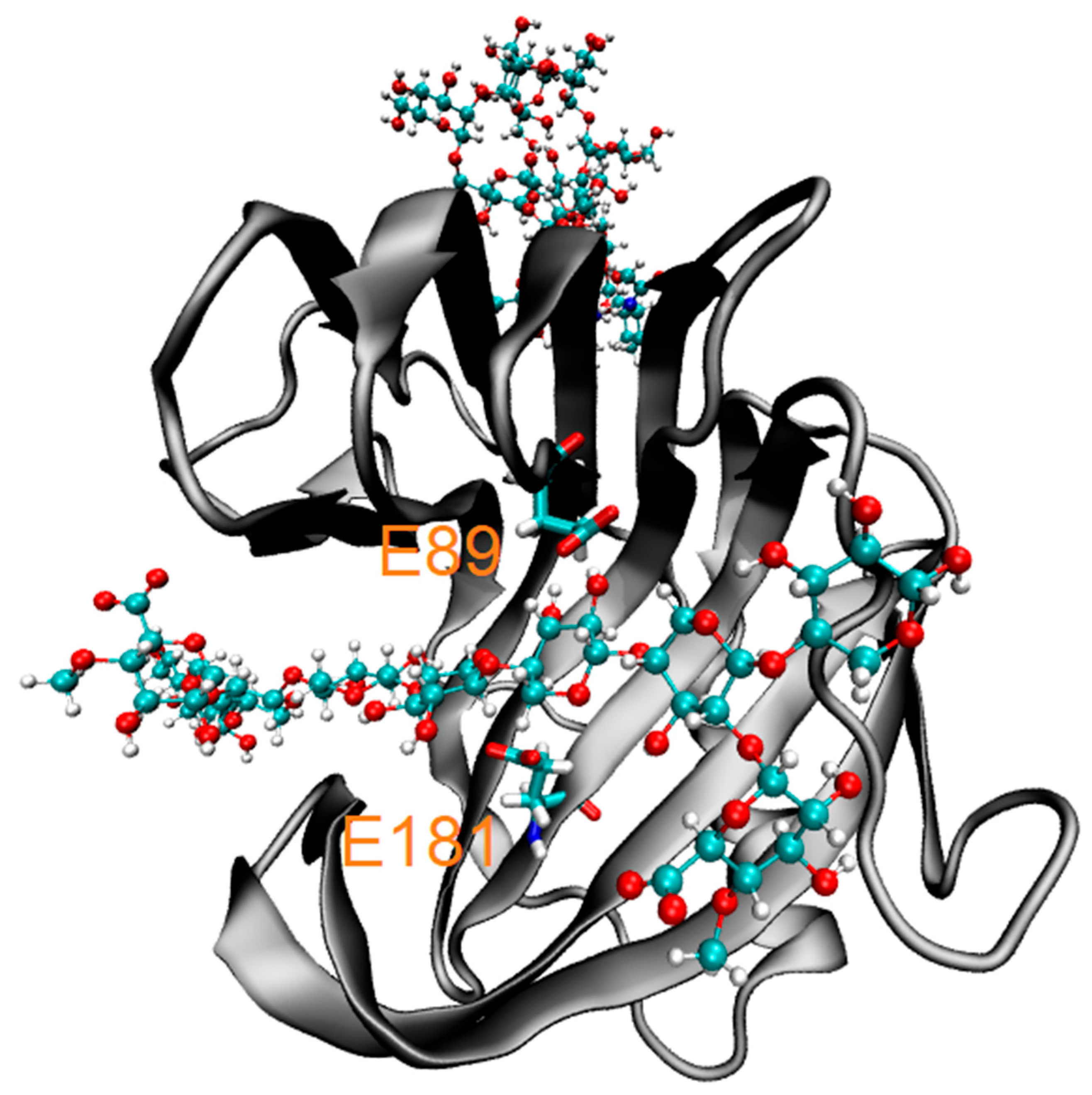 Biotech 14 00062 g002 Biotech 14 00062 g002
