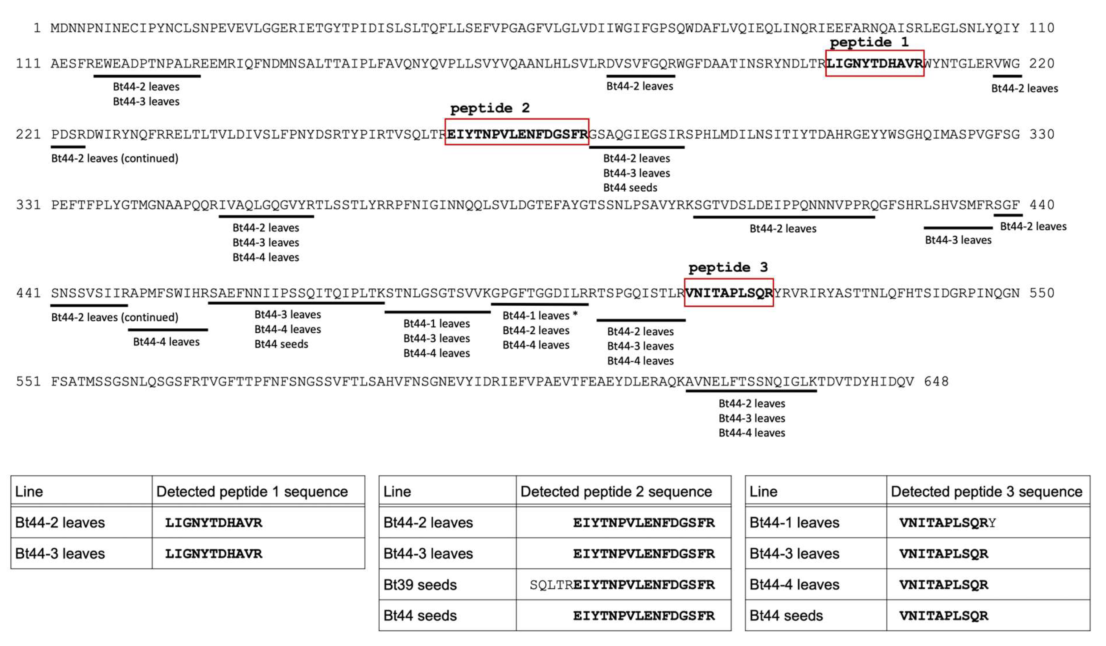 Biotech 14 00064 g002 Biotech 14 00064 g002