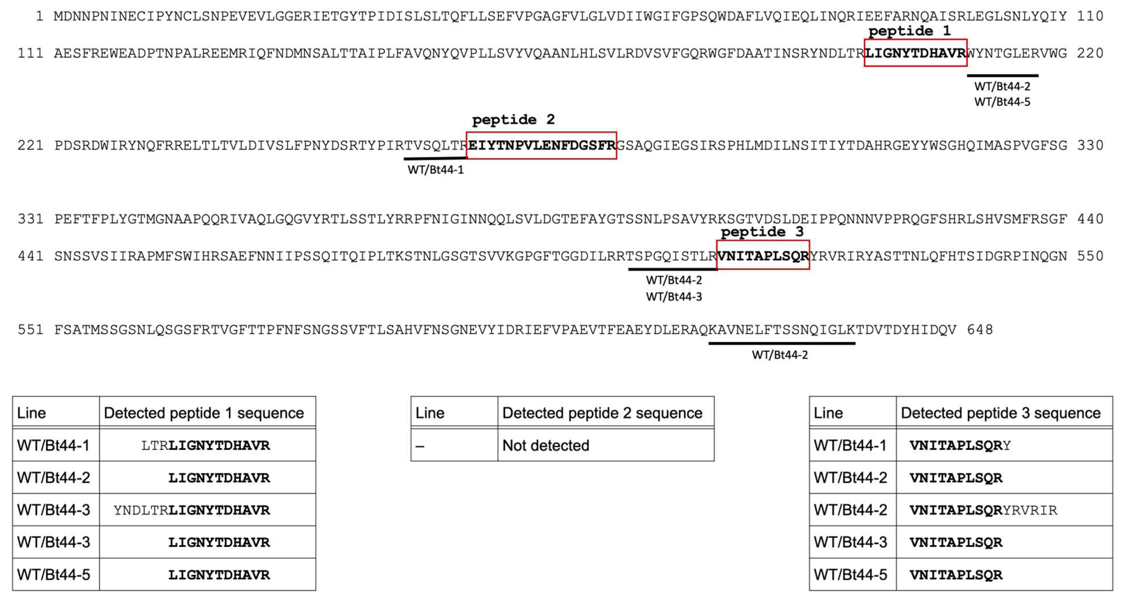 Biotech 14 00064 g003 Biotech 14 00064 g003