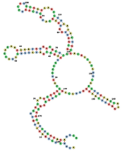 Biotech 14 00072 i001 Biotech 14 00072 i001