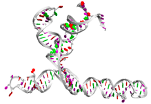 Biotech 14 00072 i002 Biotech 14 00072 i002