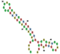 Biotech 14 00072 i005 Biotech 14 00072 i005