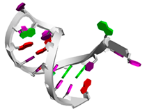 Biotech 14 00072 i010 Biotech 14 00072 i010