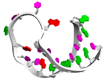 Biotech 14 00072 i012 Biotech 14 00072 i012