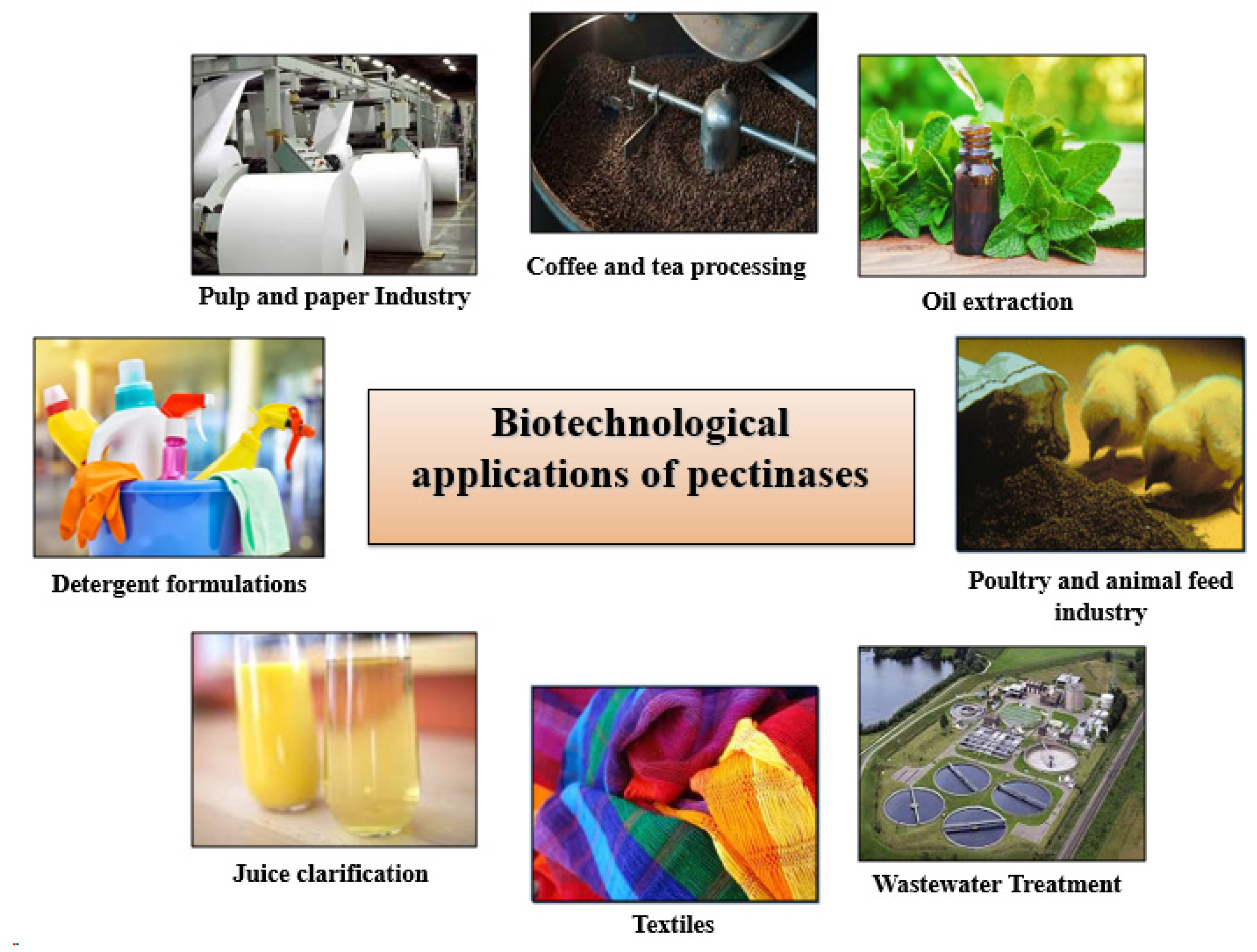 Biotech 14 00074 g004 Biotech 14 00074 g004
