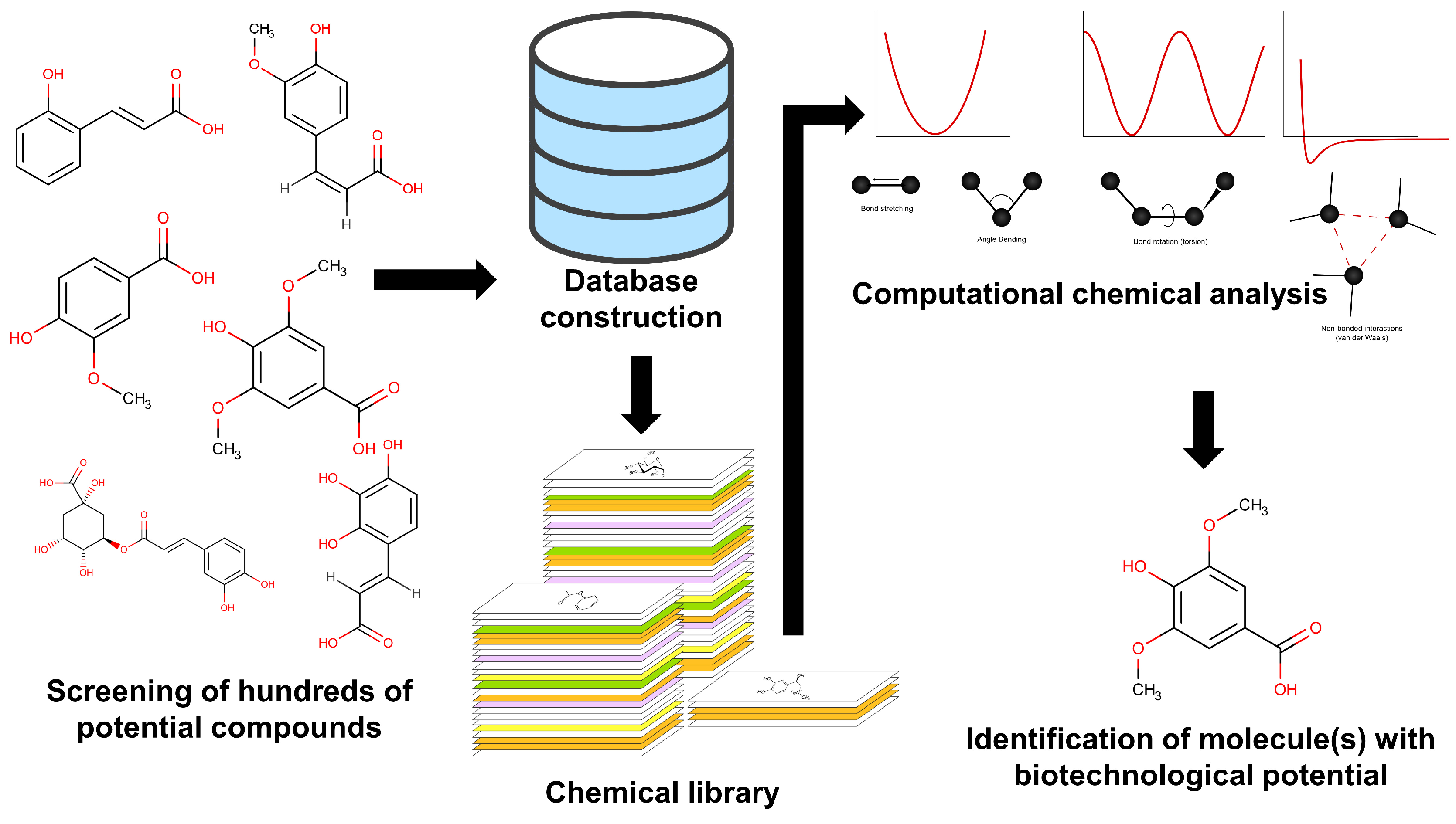 Biotech 14 00080 g004