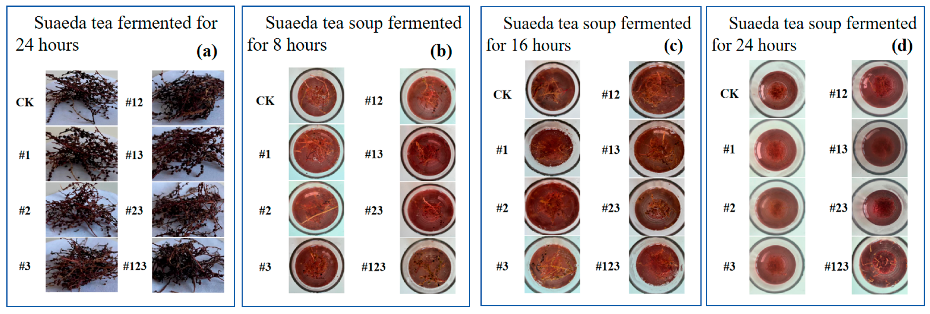 Biotech 14 00083 g006 Biotech 14 00083 g006