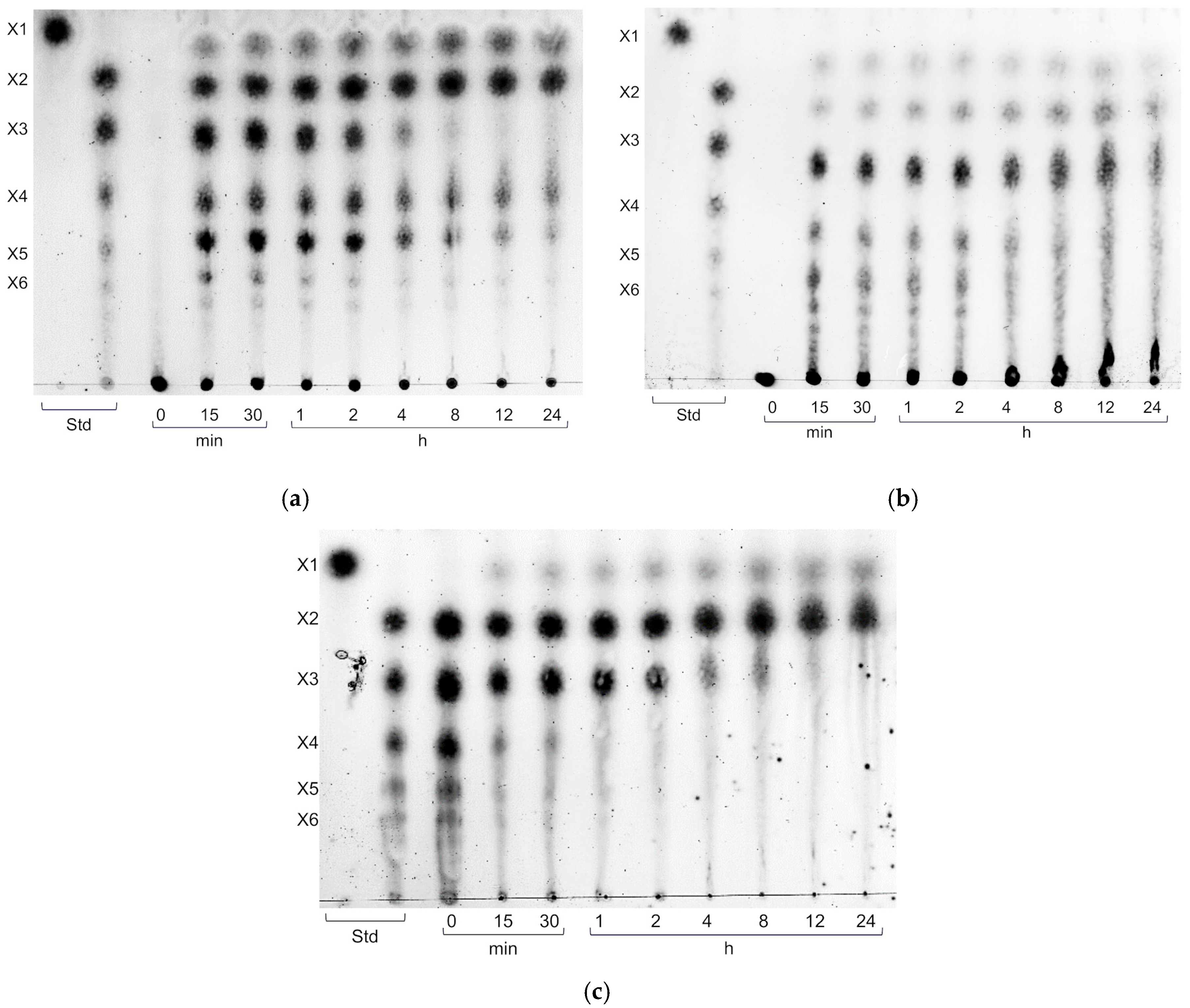 Biotech 14 00085 g004 Biotech 14 00085 g004