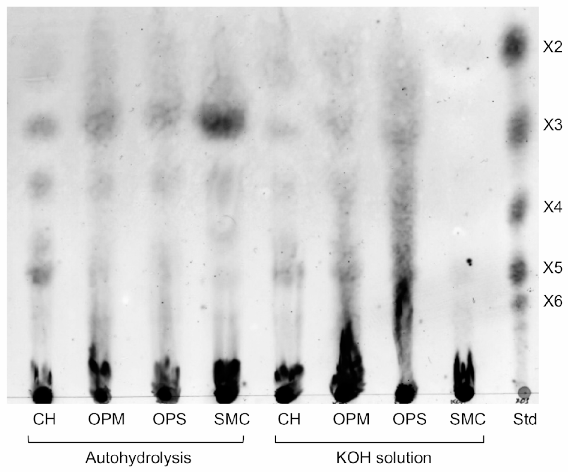 Biotech 14 00085 g005 Biotech 14 00085 g005