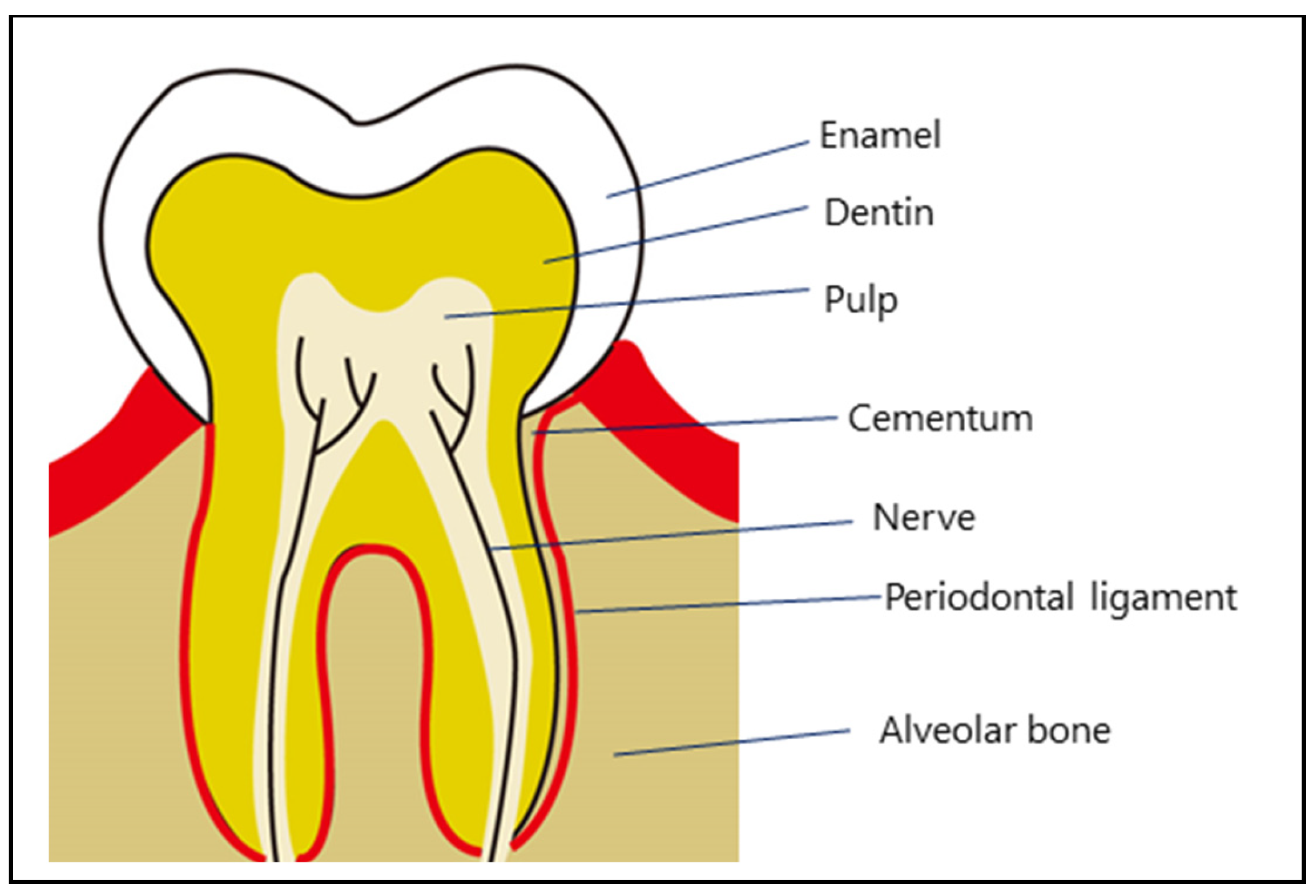 Biotech 14 00088 g001 Biotech 14 00088 g001