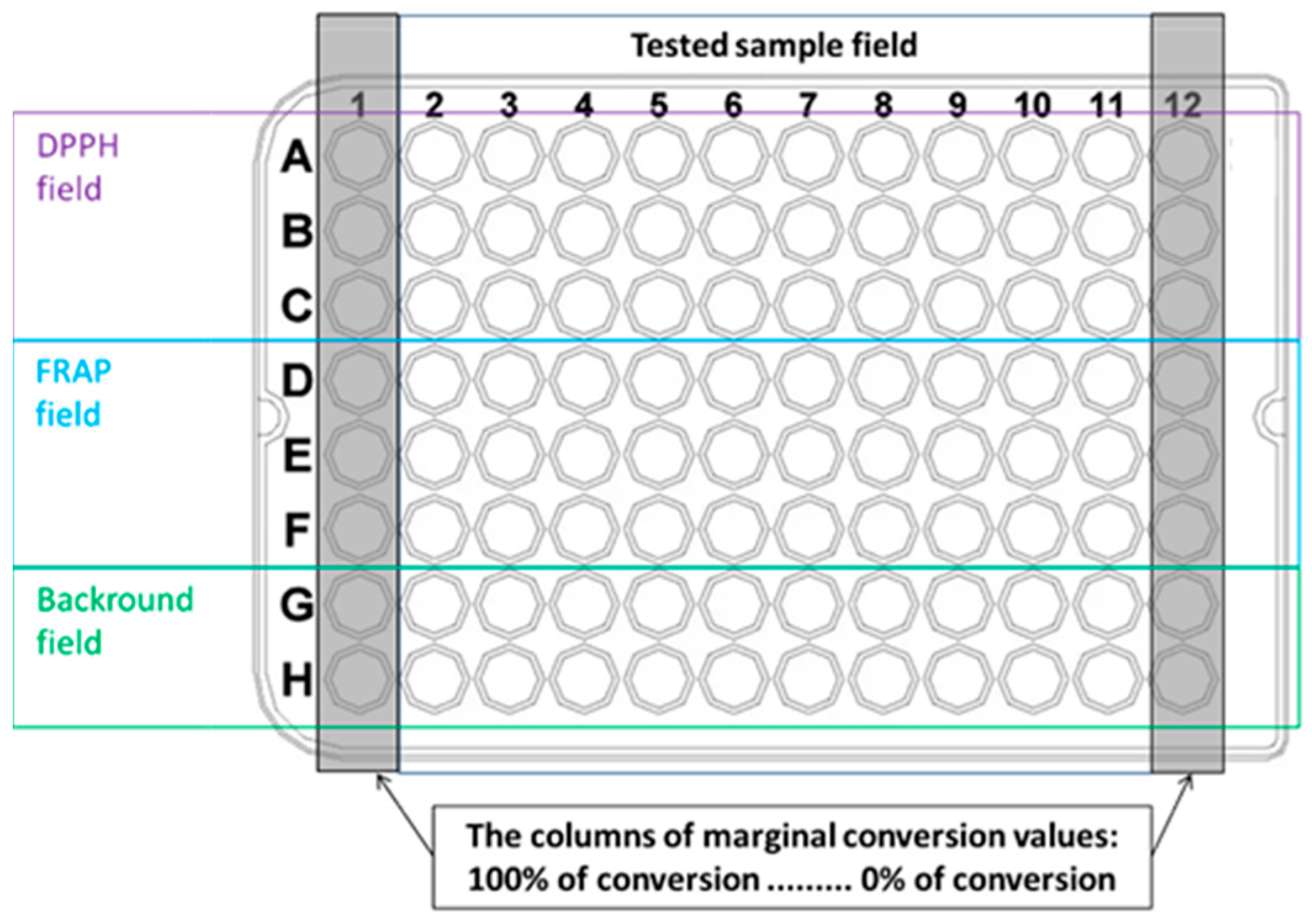 Biotech 14 00091 g001