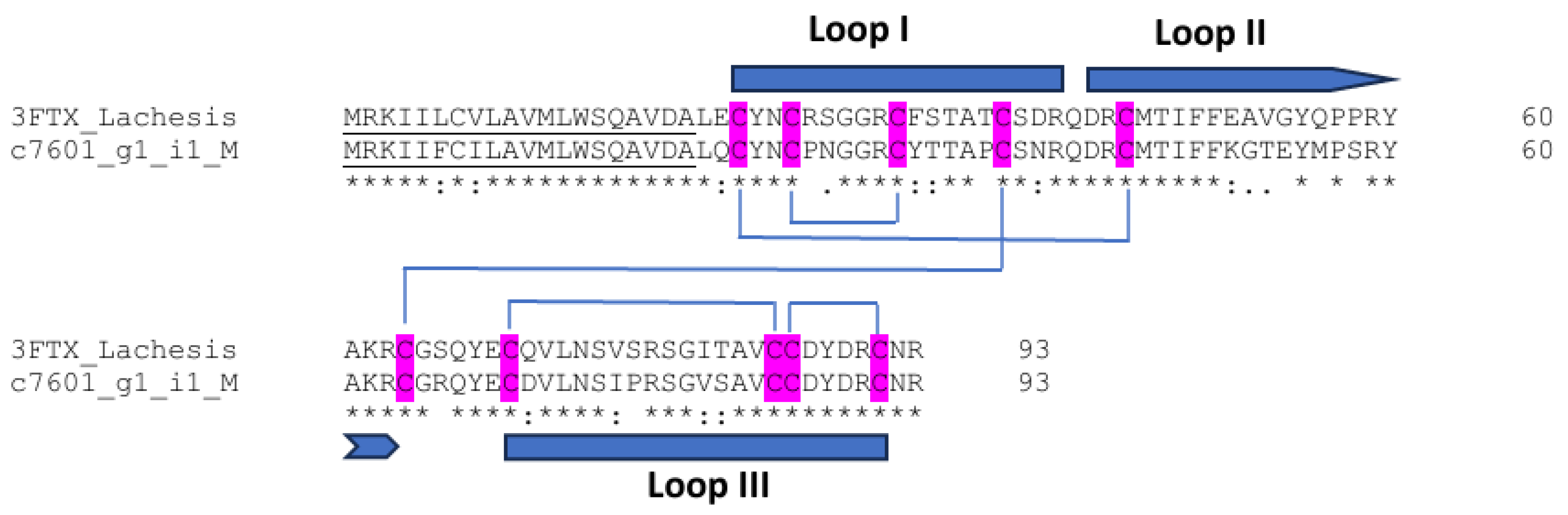 Biotech 14 00096 g007 Biotech 14 00096 g007