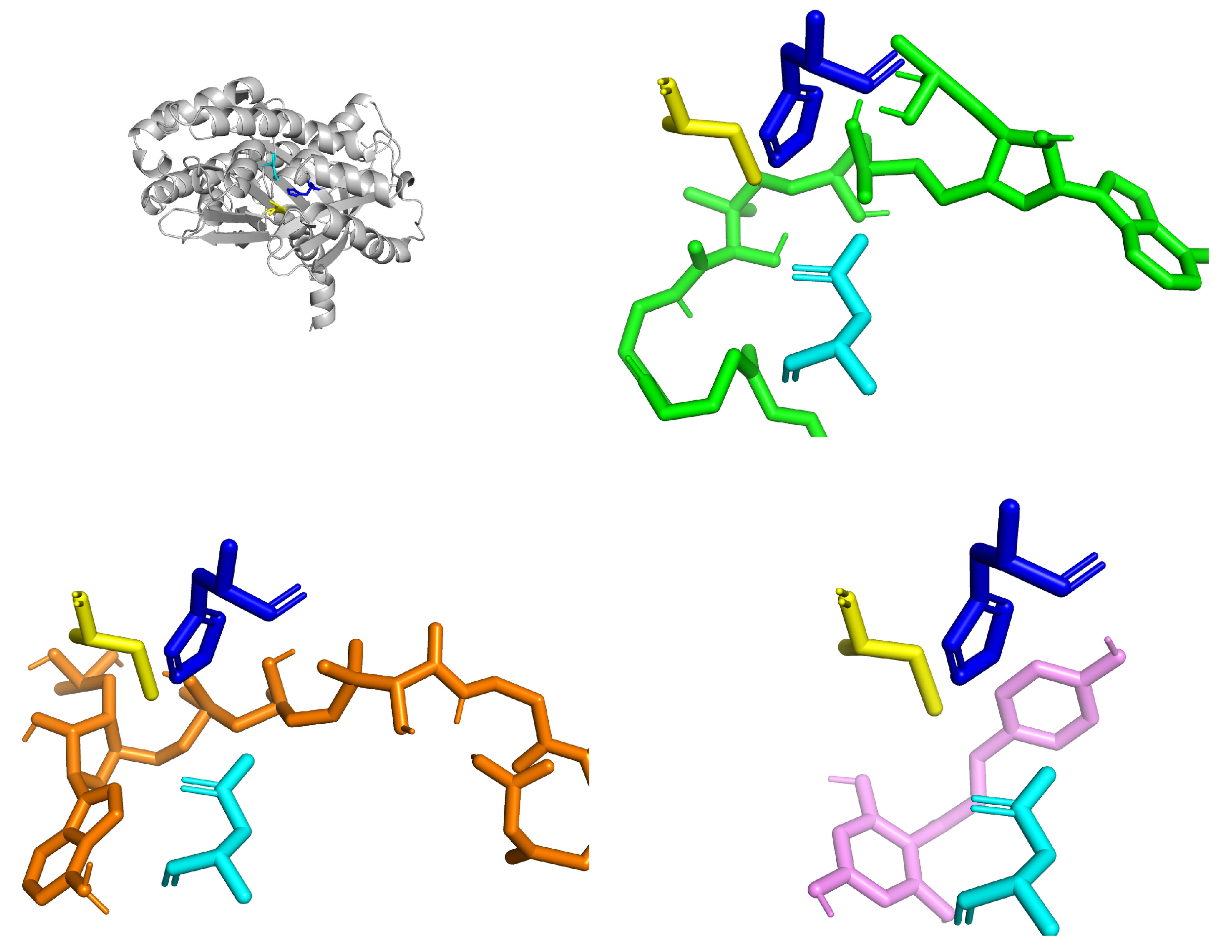 Biotech 14 00097 g003 Biotech 14 00097 g003