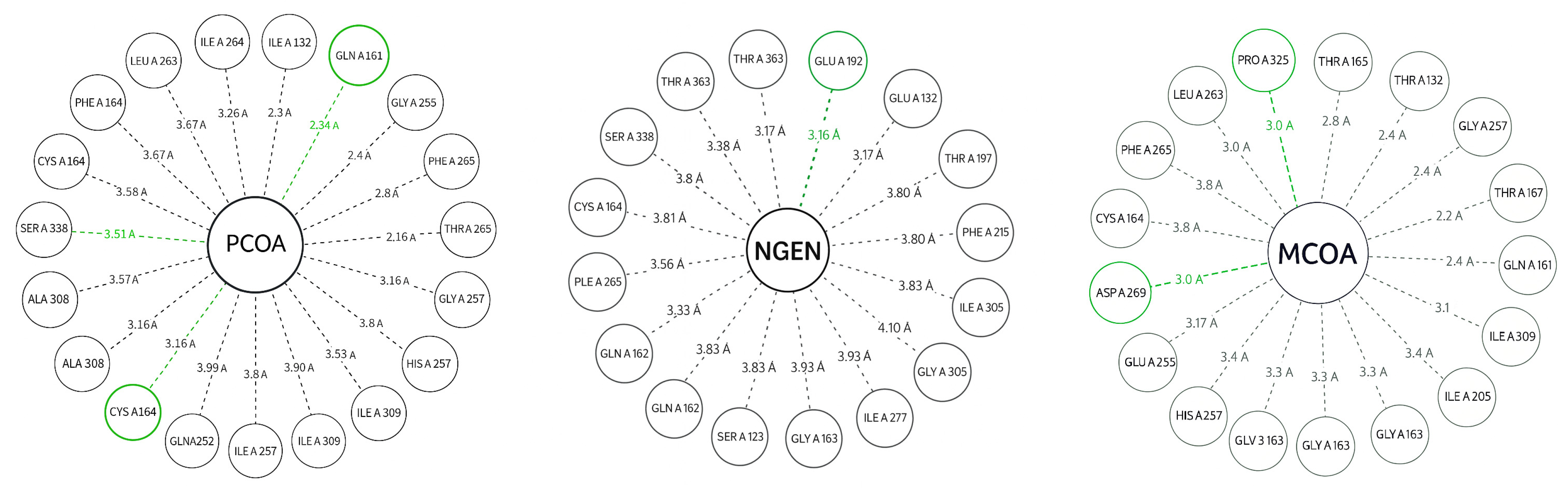 Biotech 14 00097 g004 Biotech 14 00097 g004