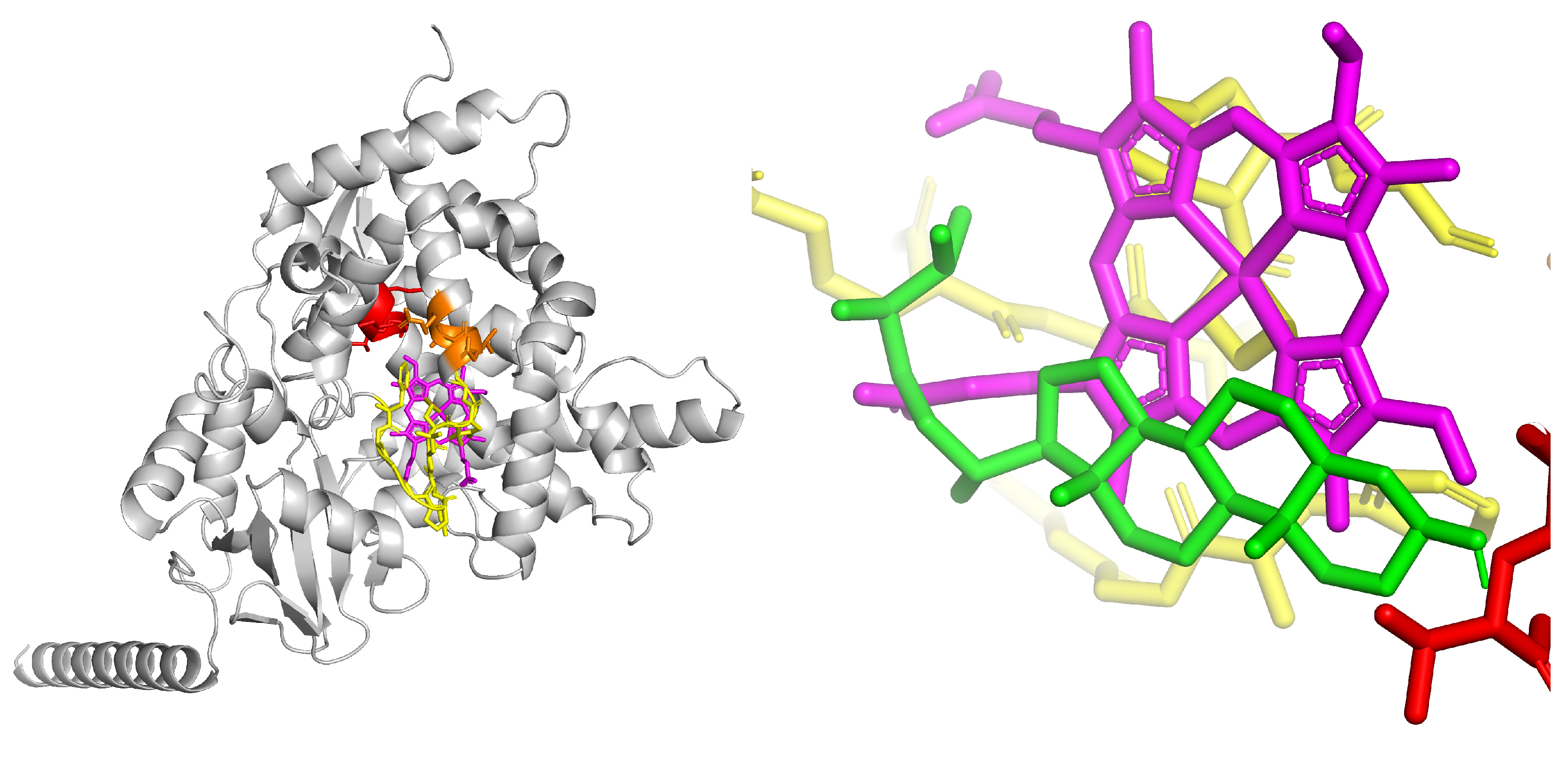 Biotech 14 00097 g006 Biotech 14 00097 g006