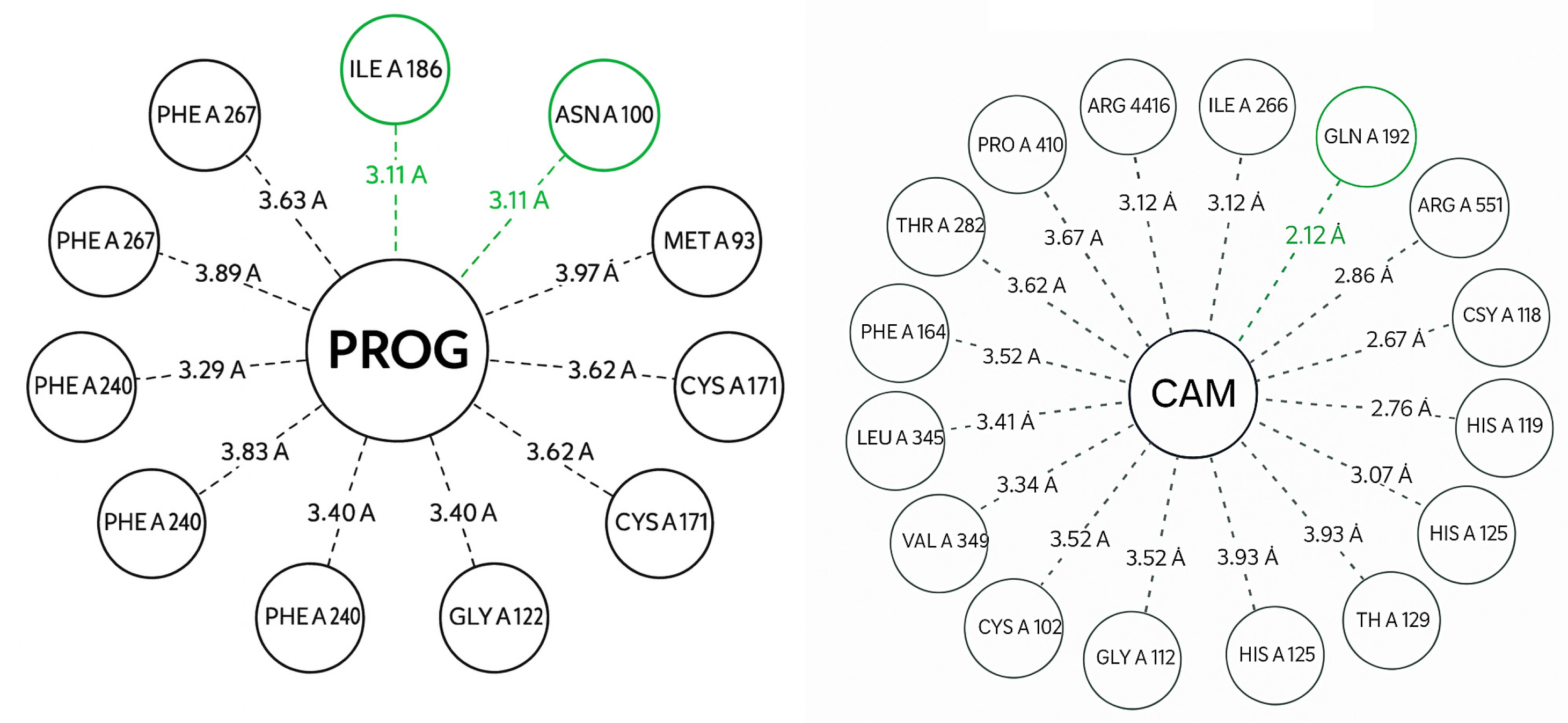 Biotech 14 00097 g007 Biotech 14 00097 g007