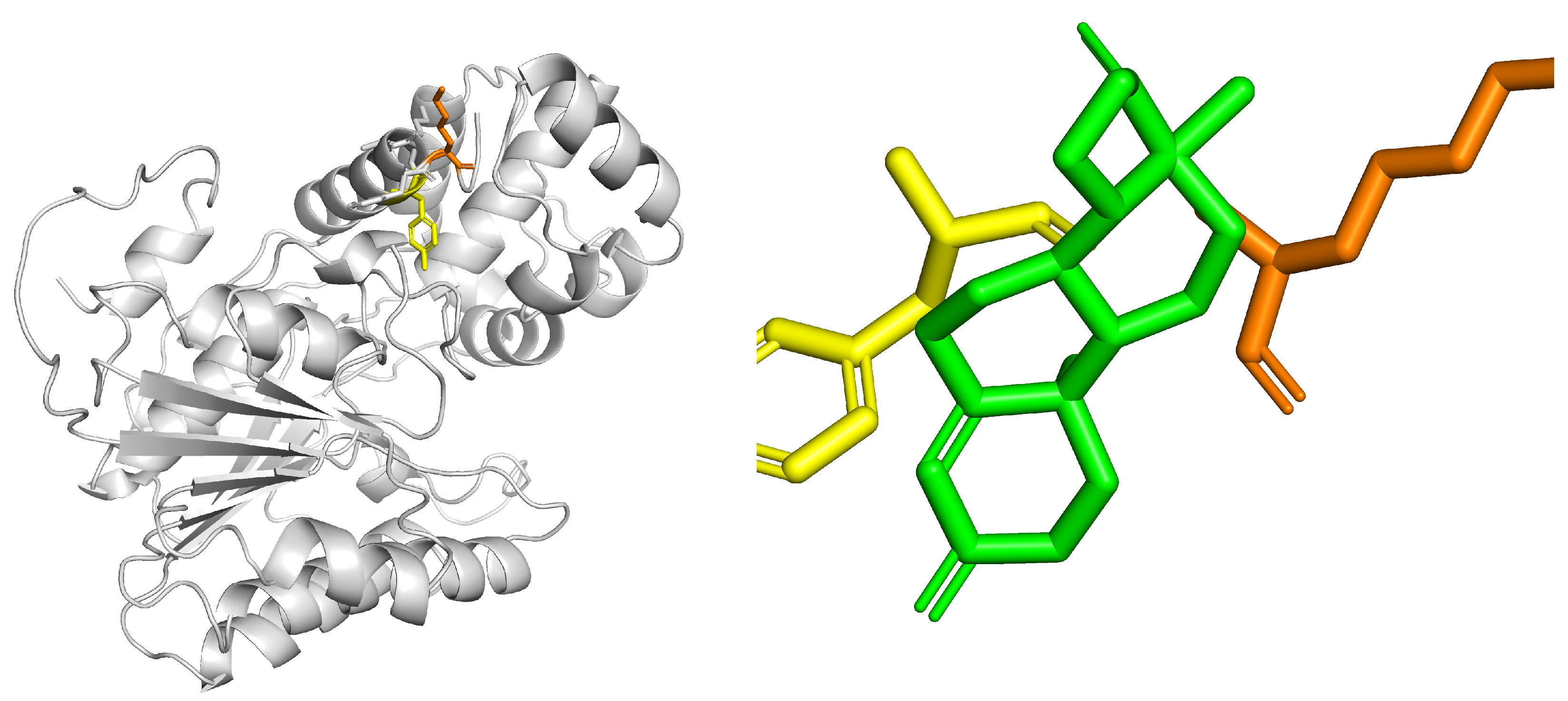 Biotech 14 00097 g009 Biotech 14 00097 g009