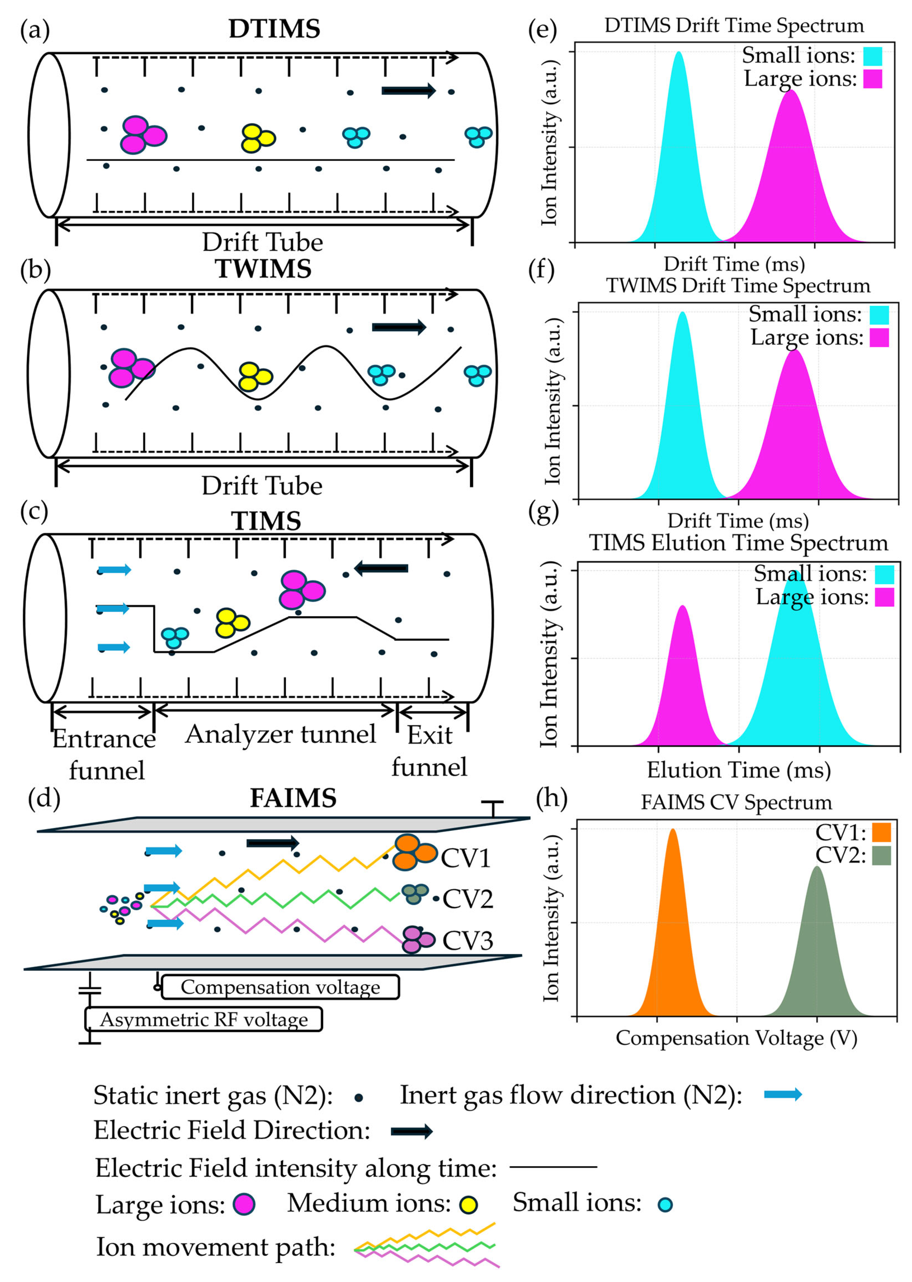 Biotech 14 00098 g001