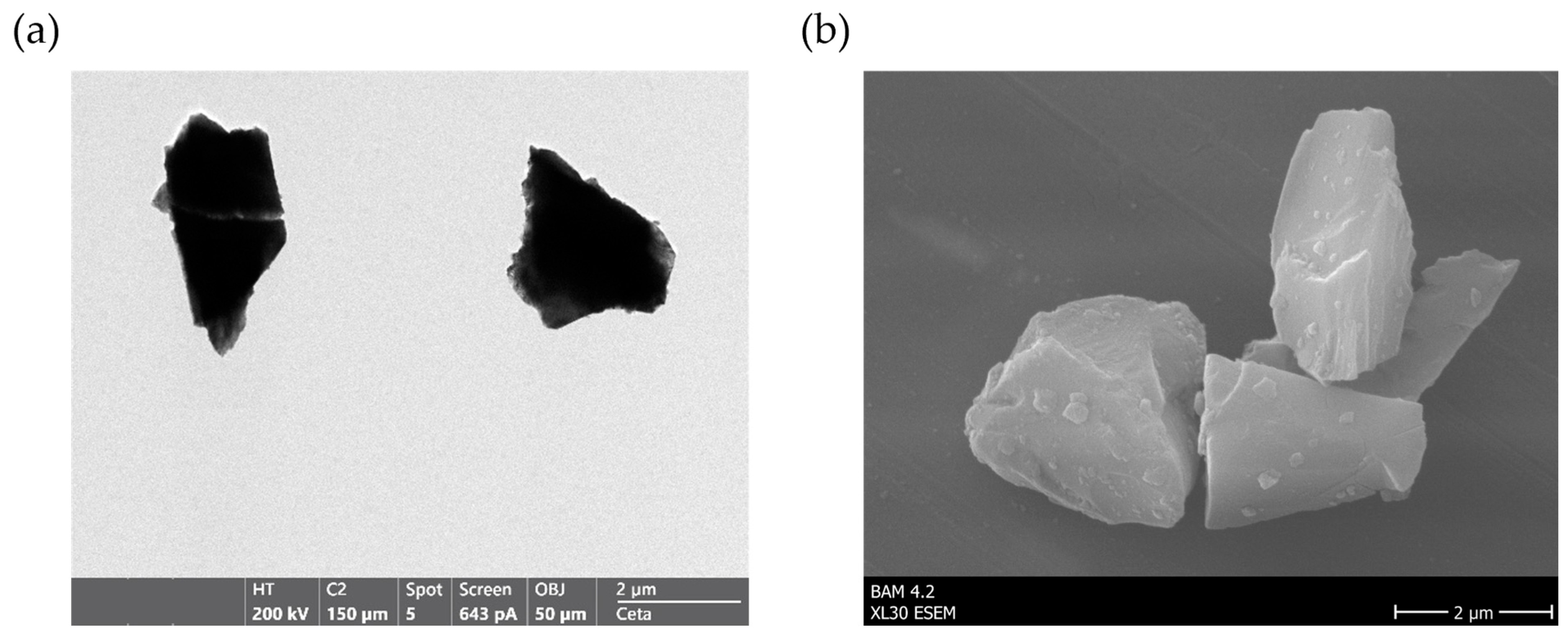 Biotech 15 00002 g001 Biotech 15 00002 g001