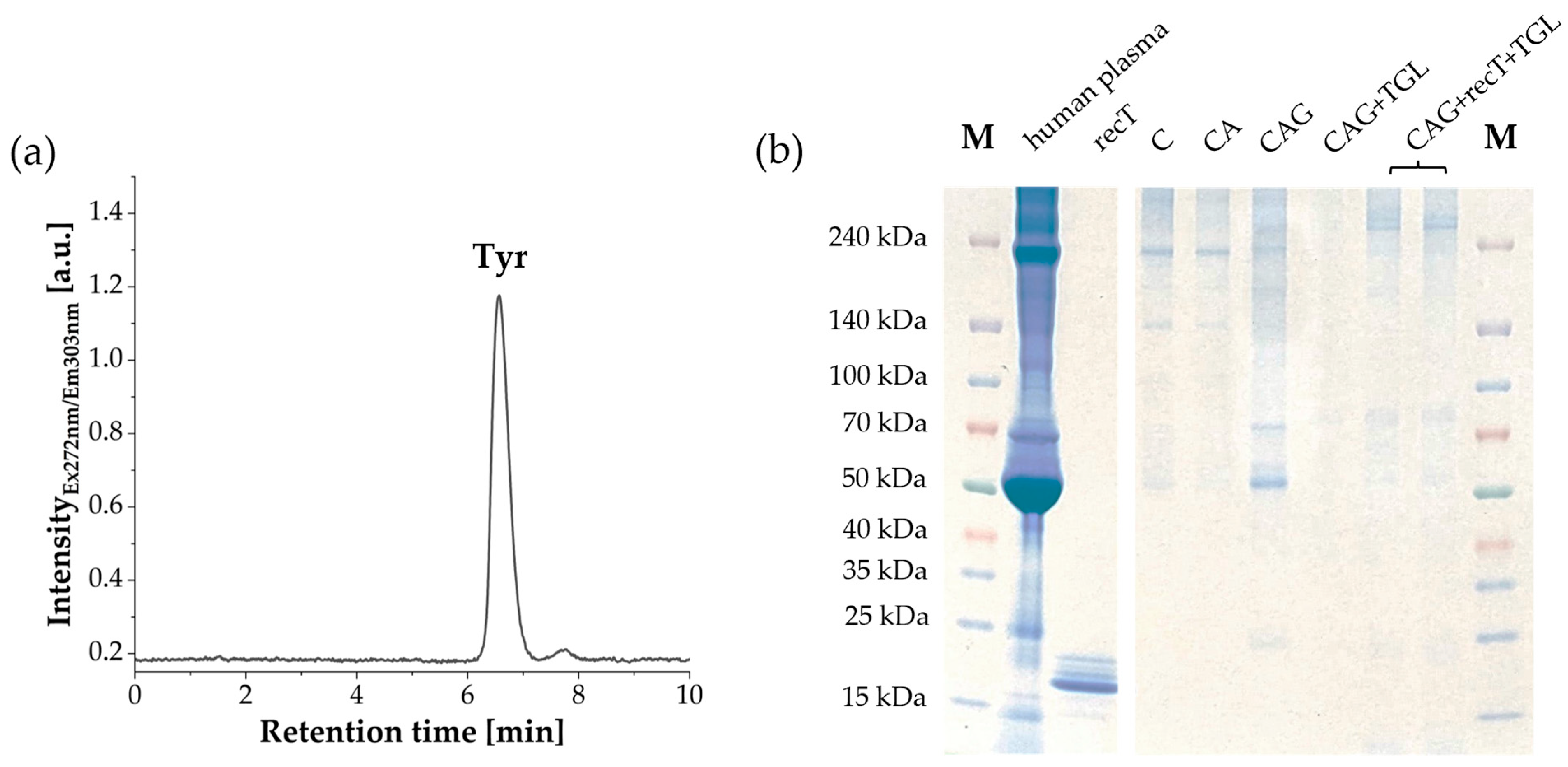 Biotech 15 00002 g003 Biotech 15 00002 g003