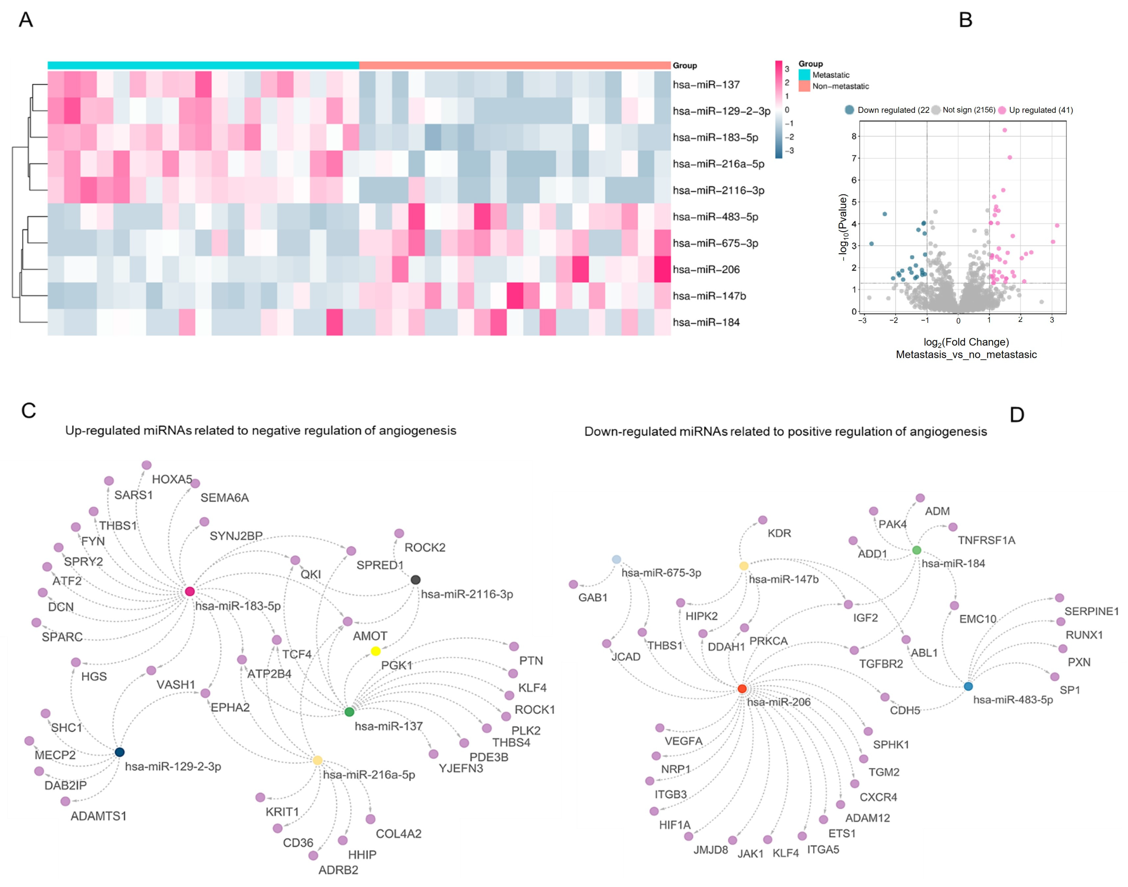 Biotech 15 00012 g001