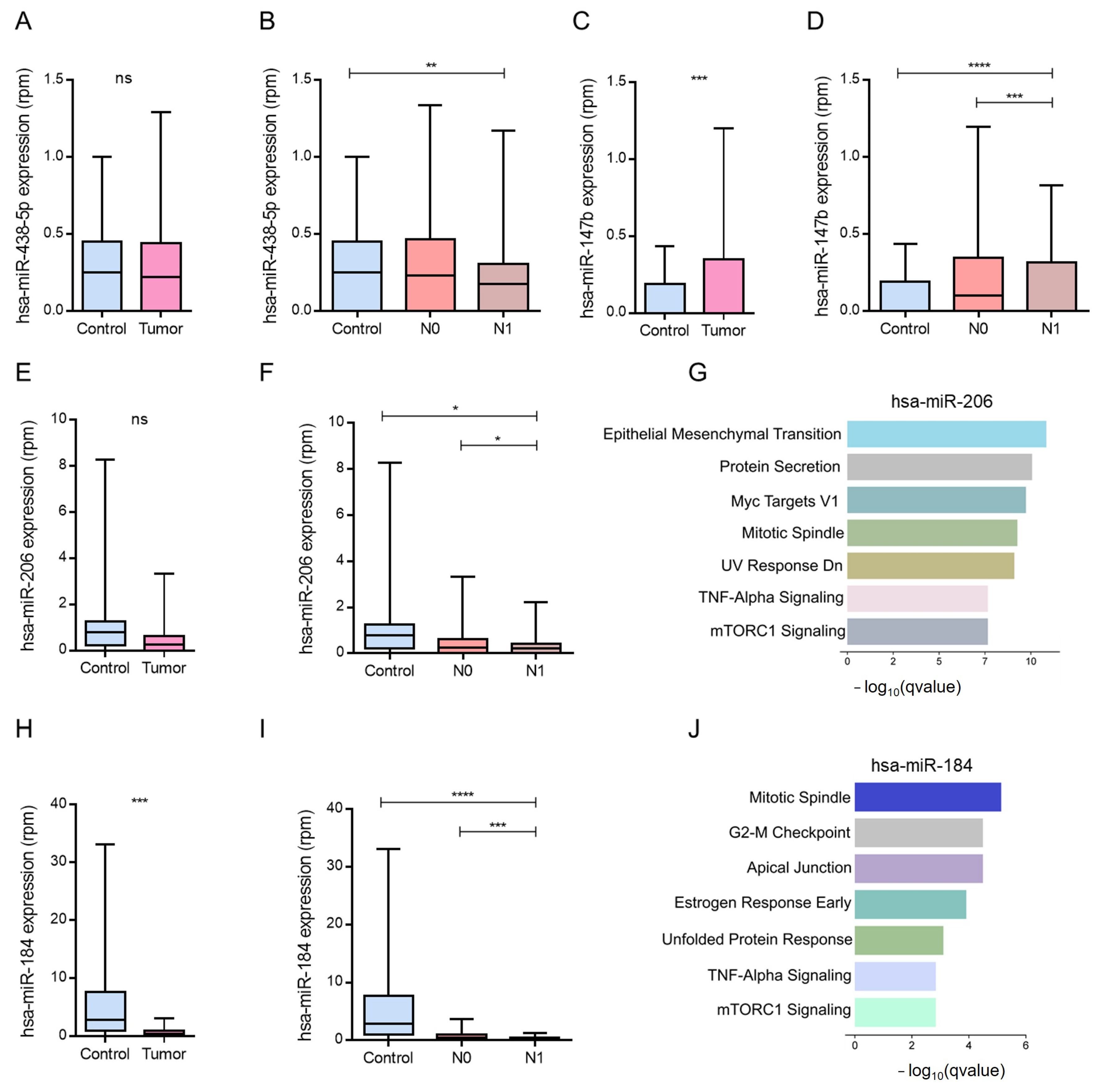 Biotech 15 00012 g003