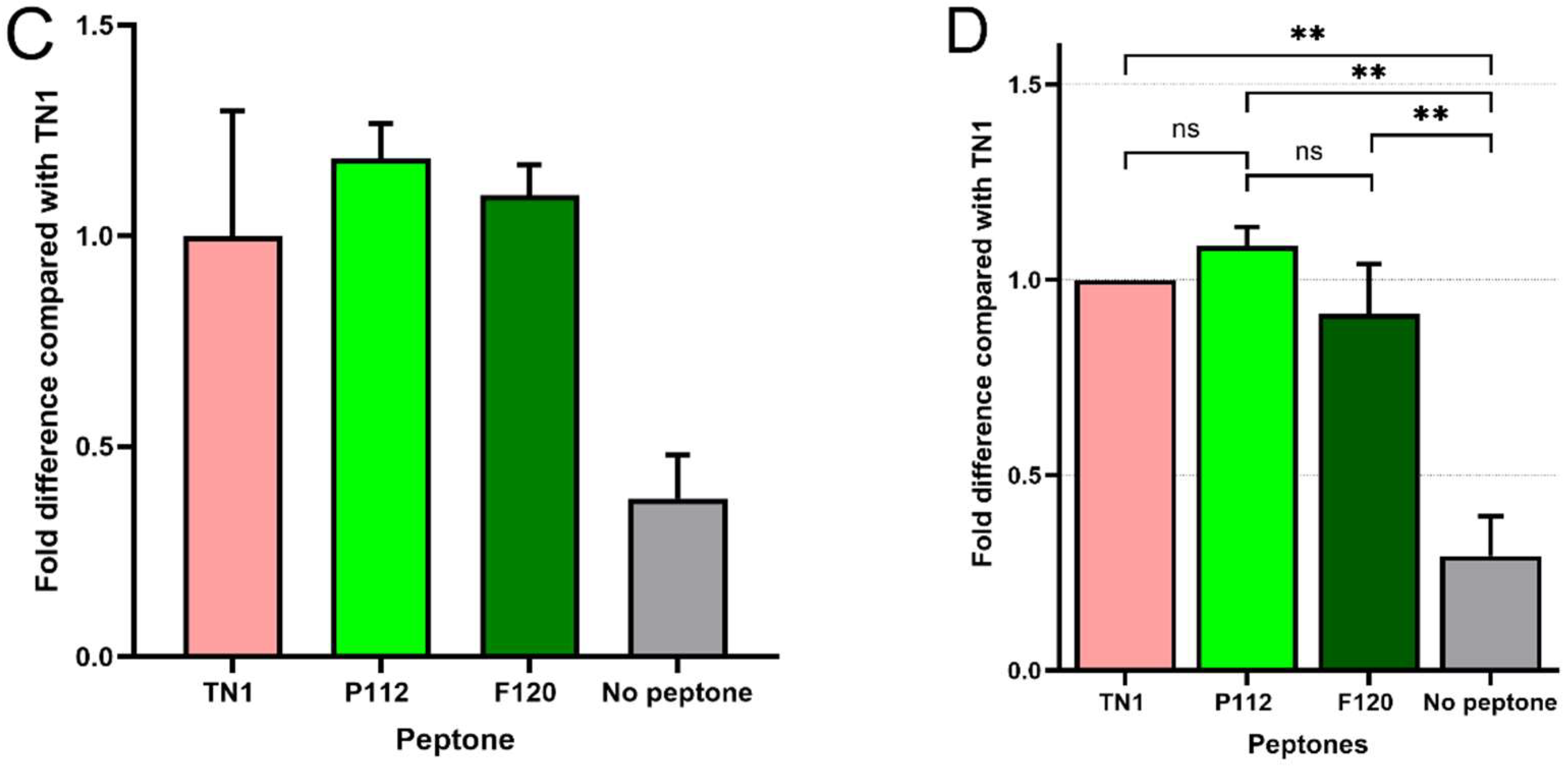 Biotech 15 00014 g003b