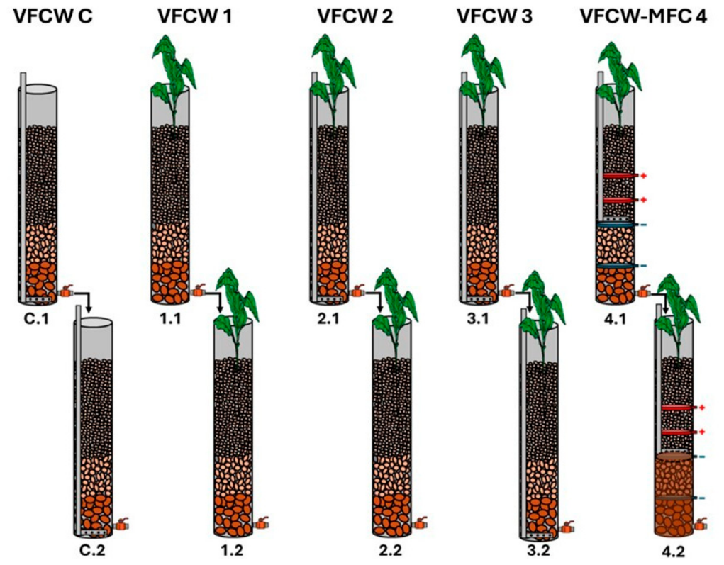 Biotech 15 00046 g002
