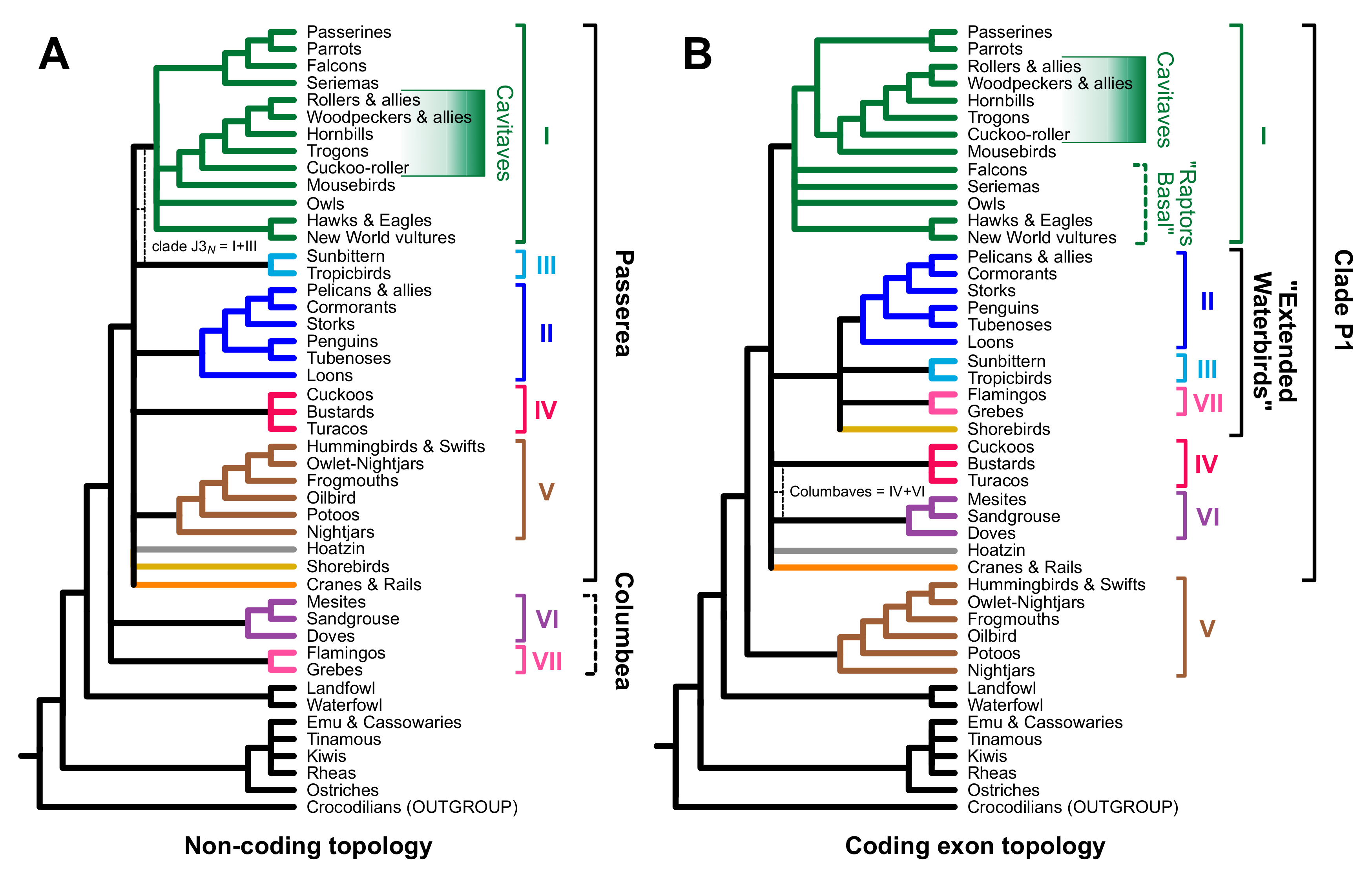 Birds 02 00001 g001 Birds 02 00001 g001