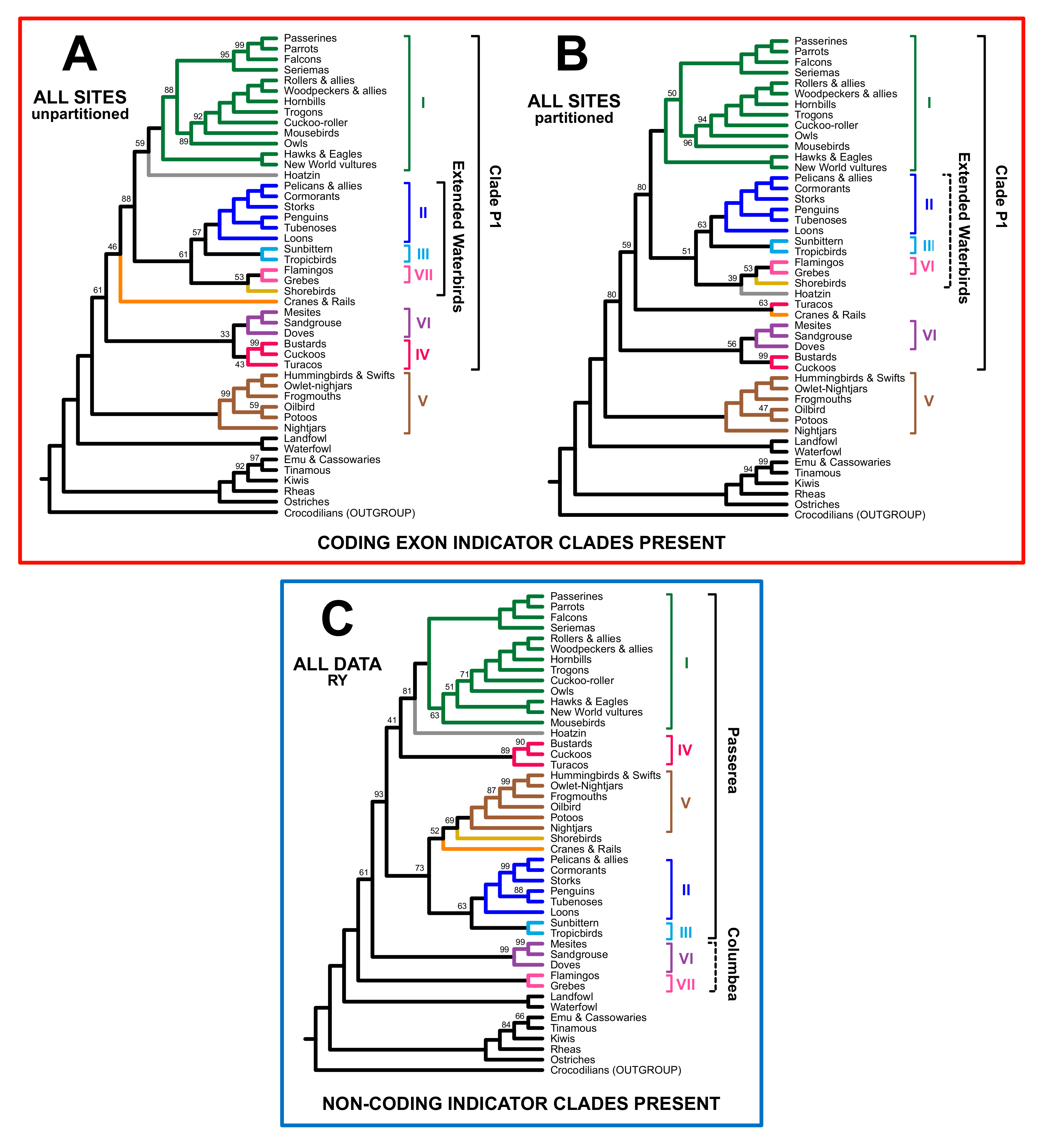 Birds 02 00001 g004a Birds 02 00001 g004a