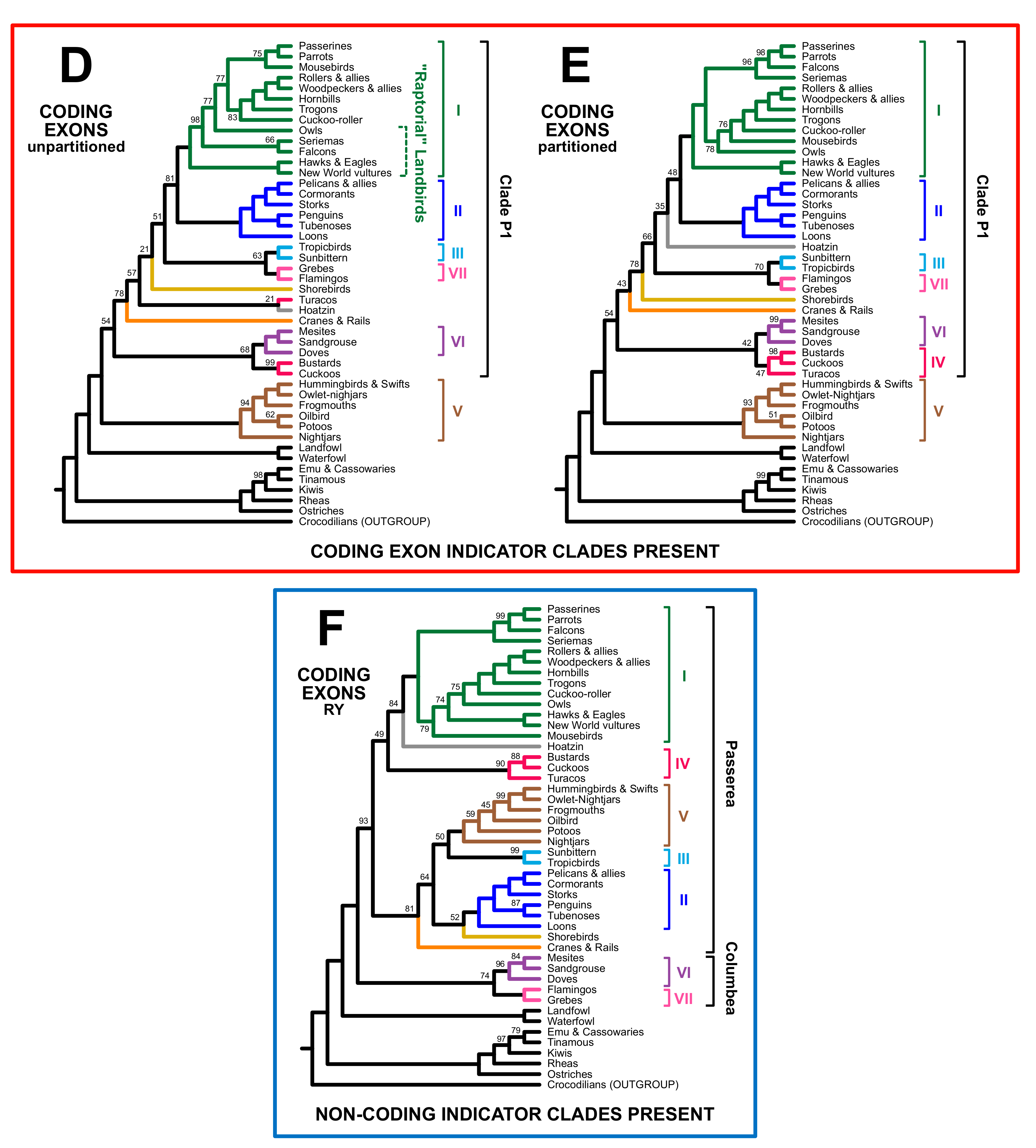 Birds 02 00001 g004b Birds 02 00001 g004b