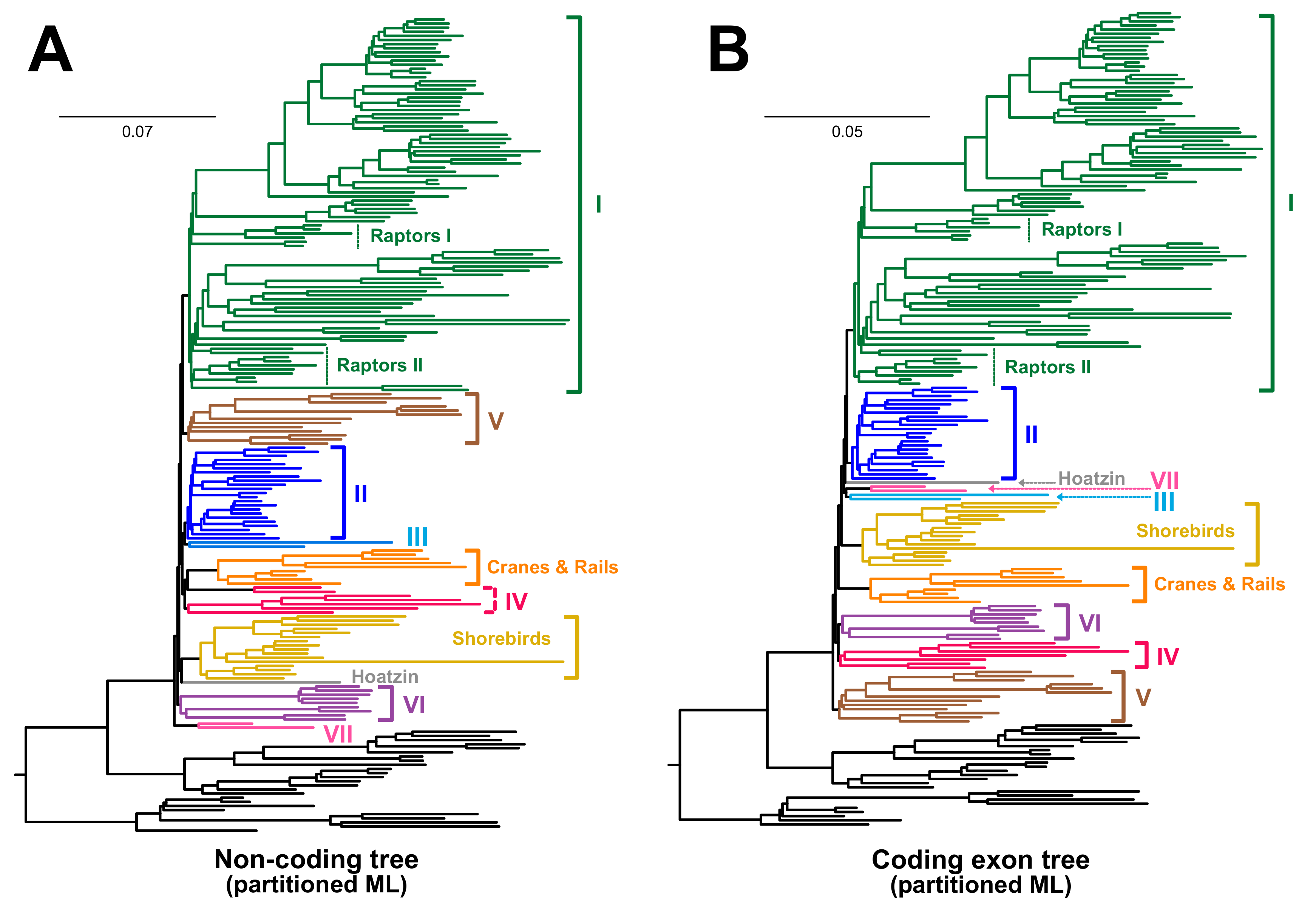 Birds 02 00001 g006 Birds 02 00001 g006