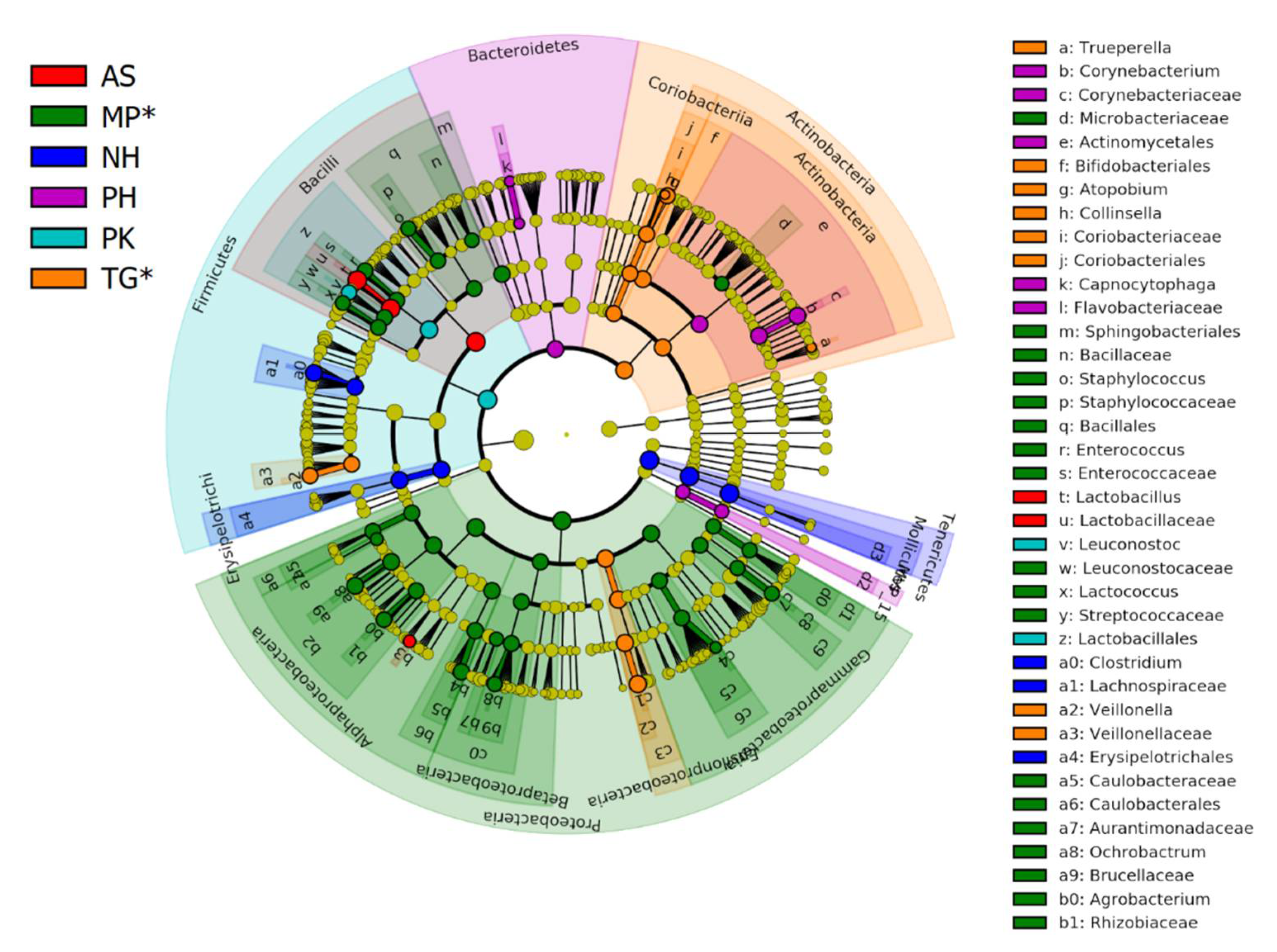 Birds Free Full Text Composition And Potential Function Of Fecal Bacterial Microbiota From Six Bird Species Html