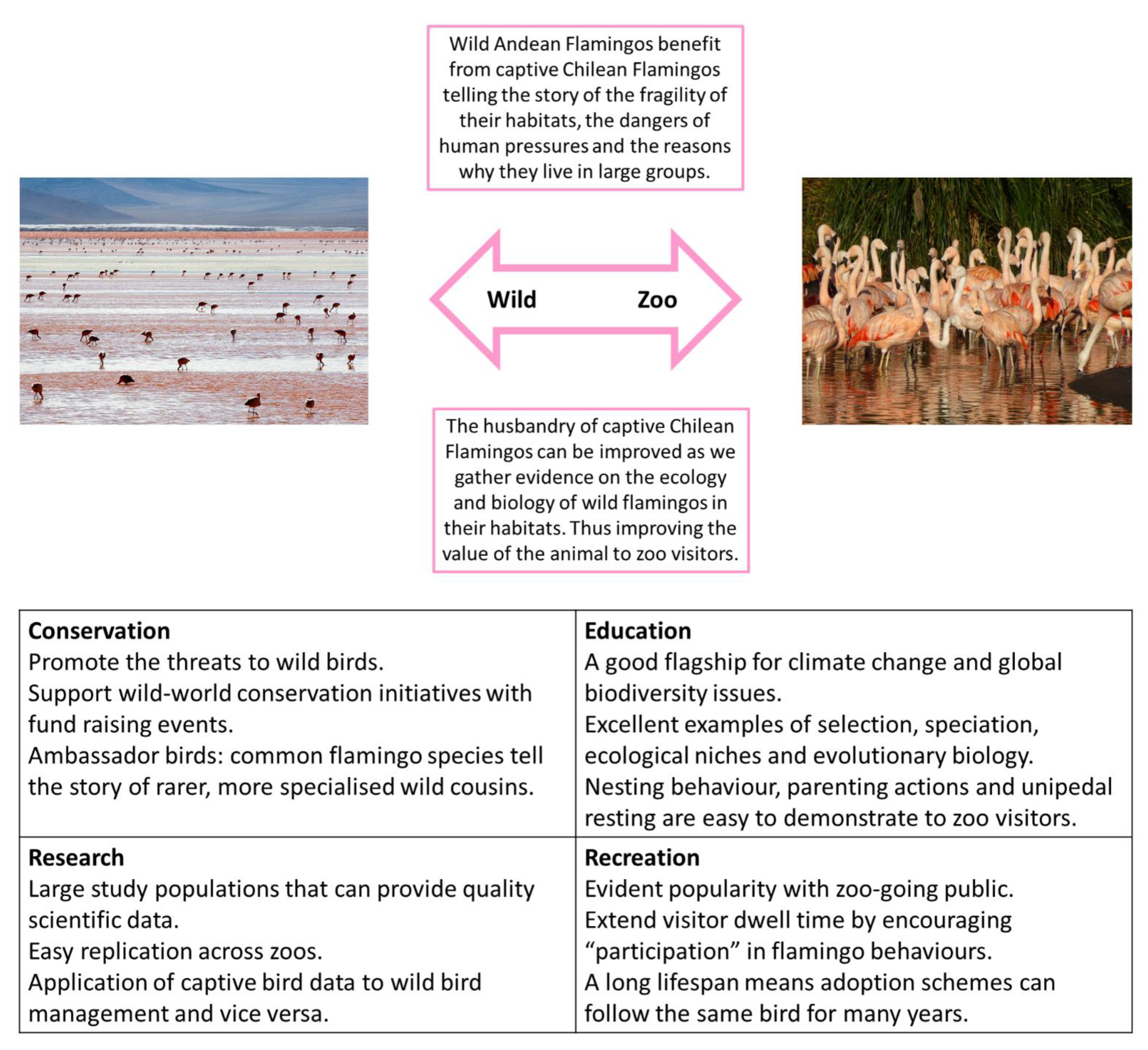 Birds 02 00005 g002 Birds 02 00005 g002