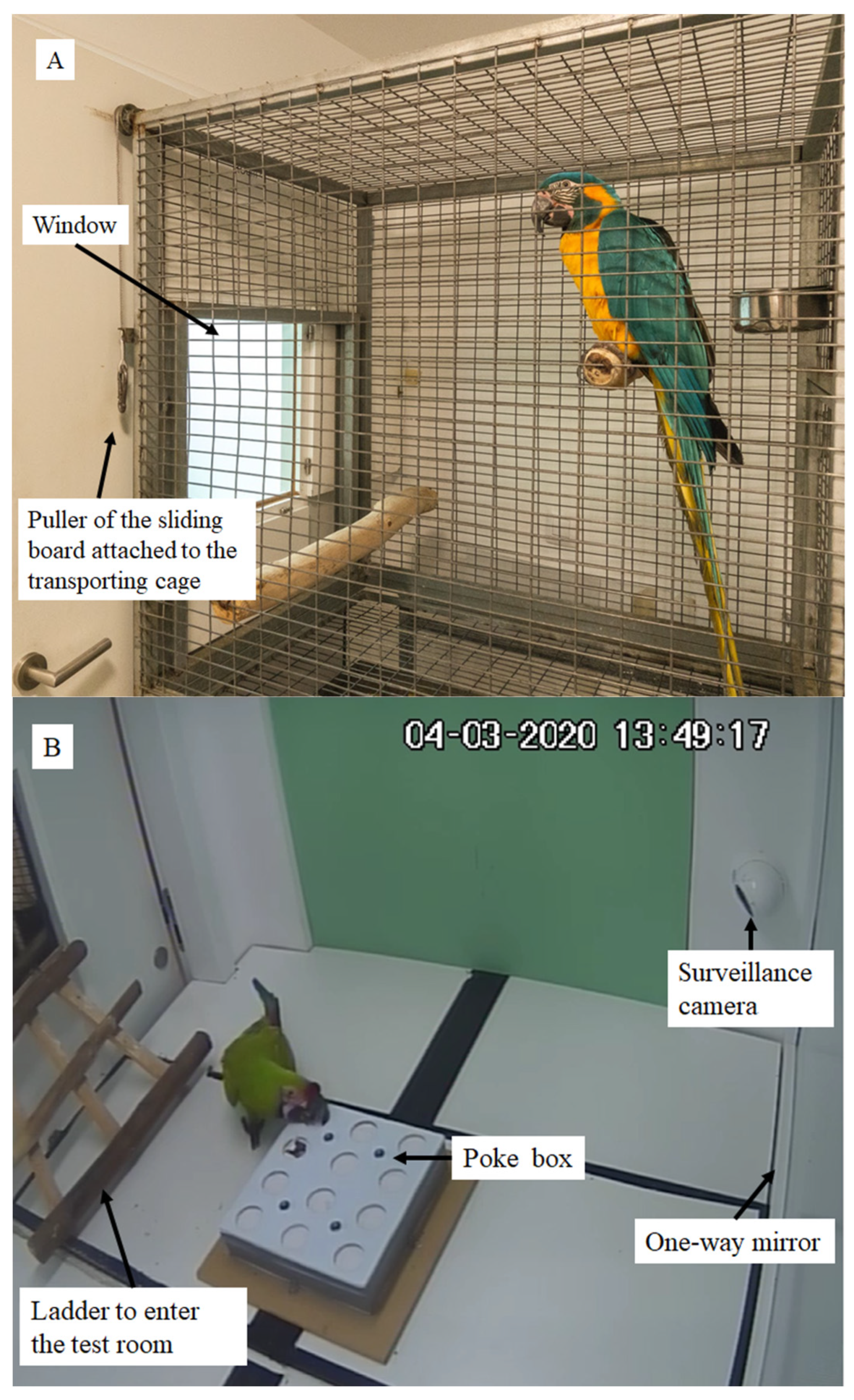 Birds 02 00021 g002