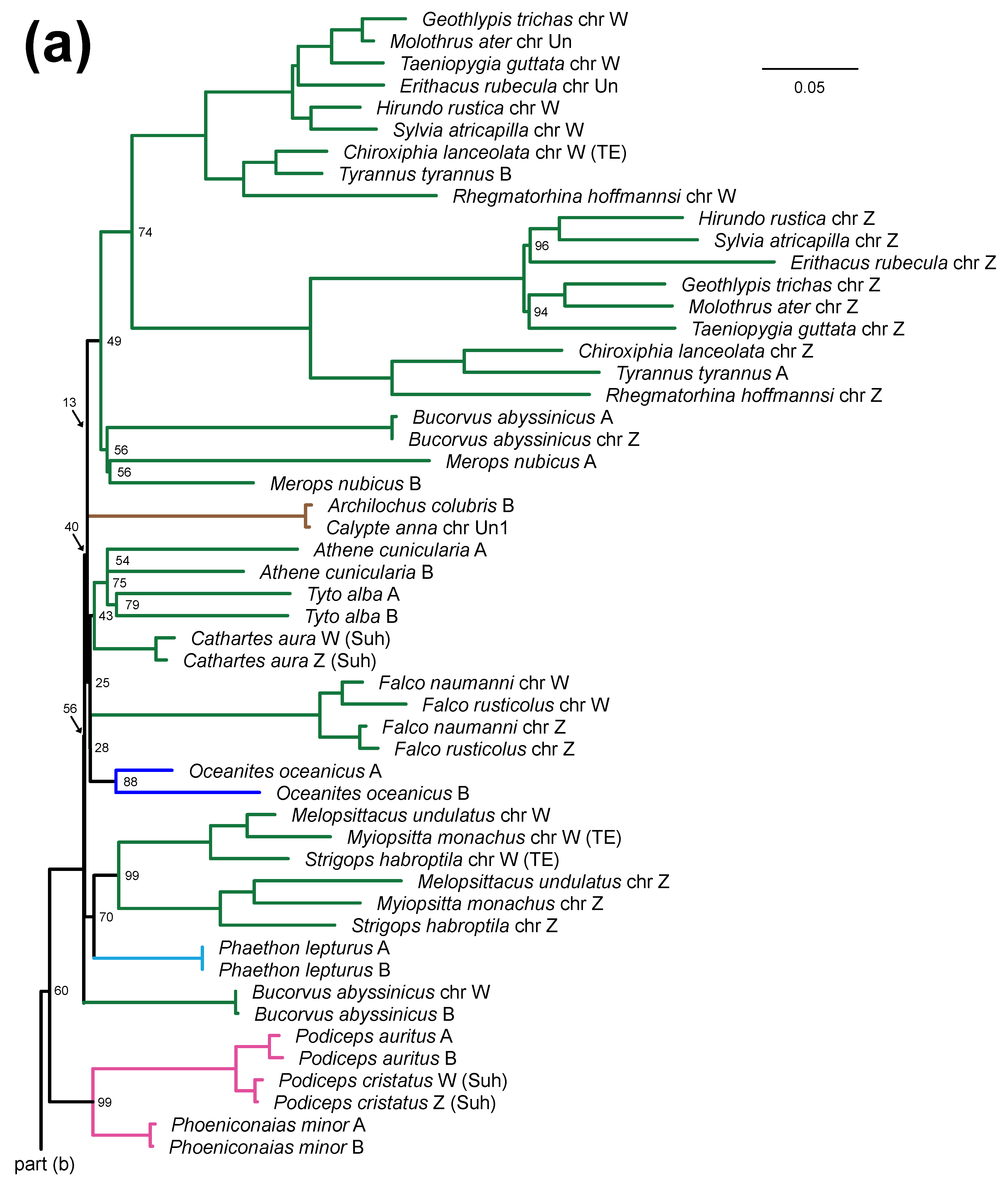 Birds 03 00004 g003a Birds 03 00004 g003a