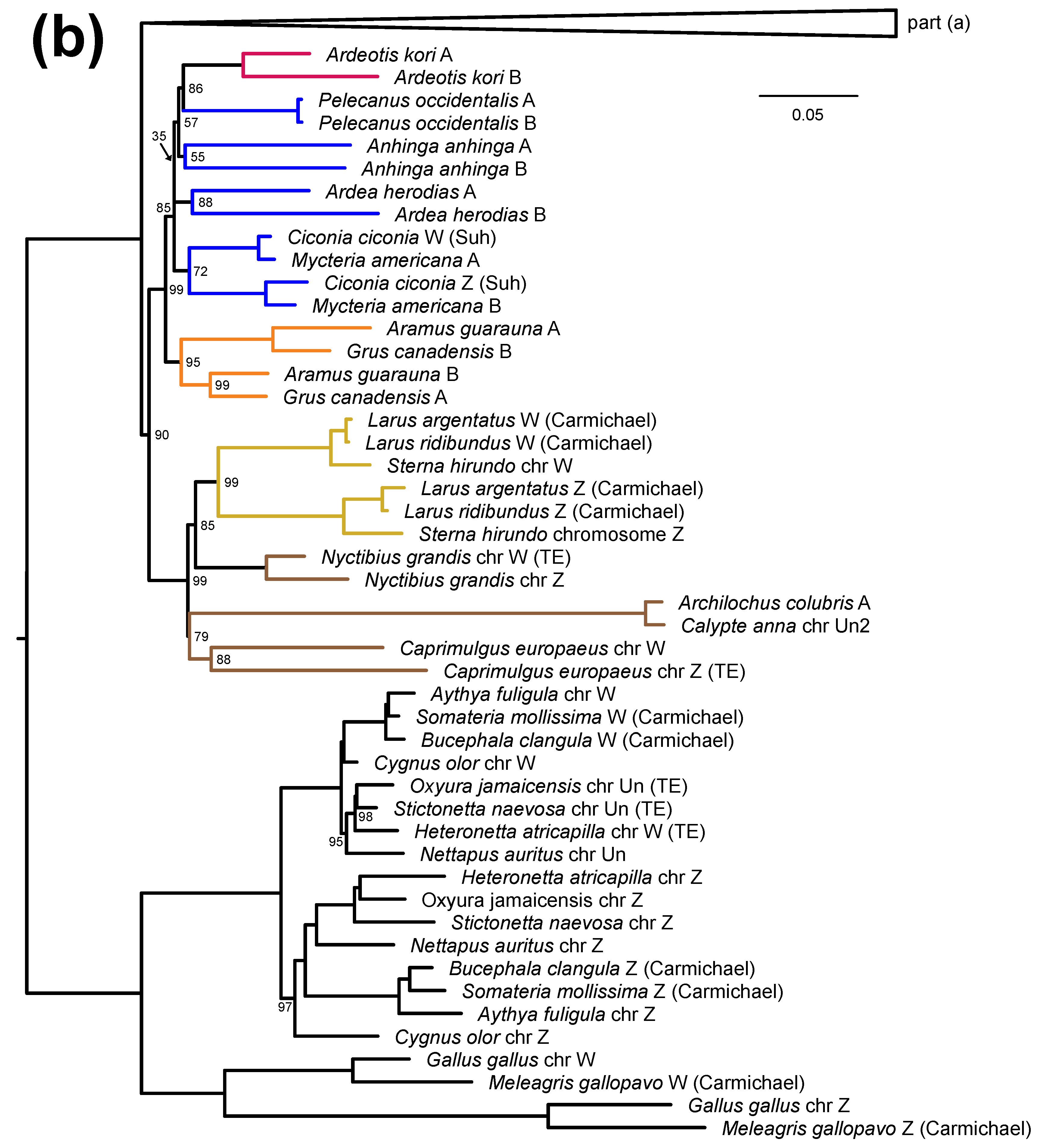 Birds 03 00004 g003b Birds 03 00004 g003b
