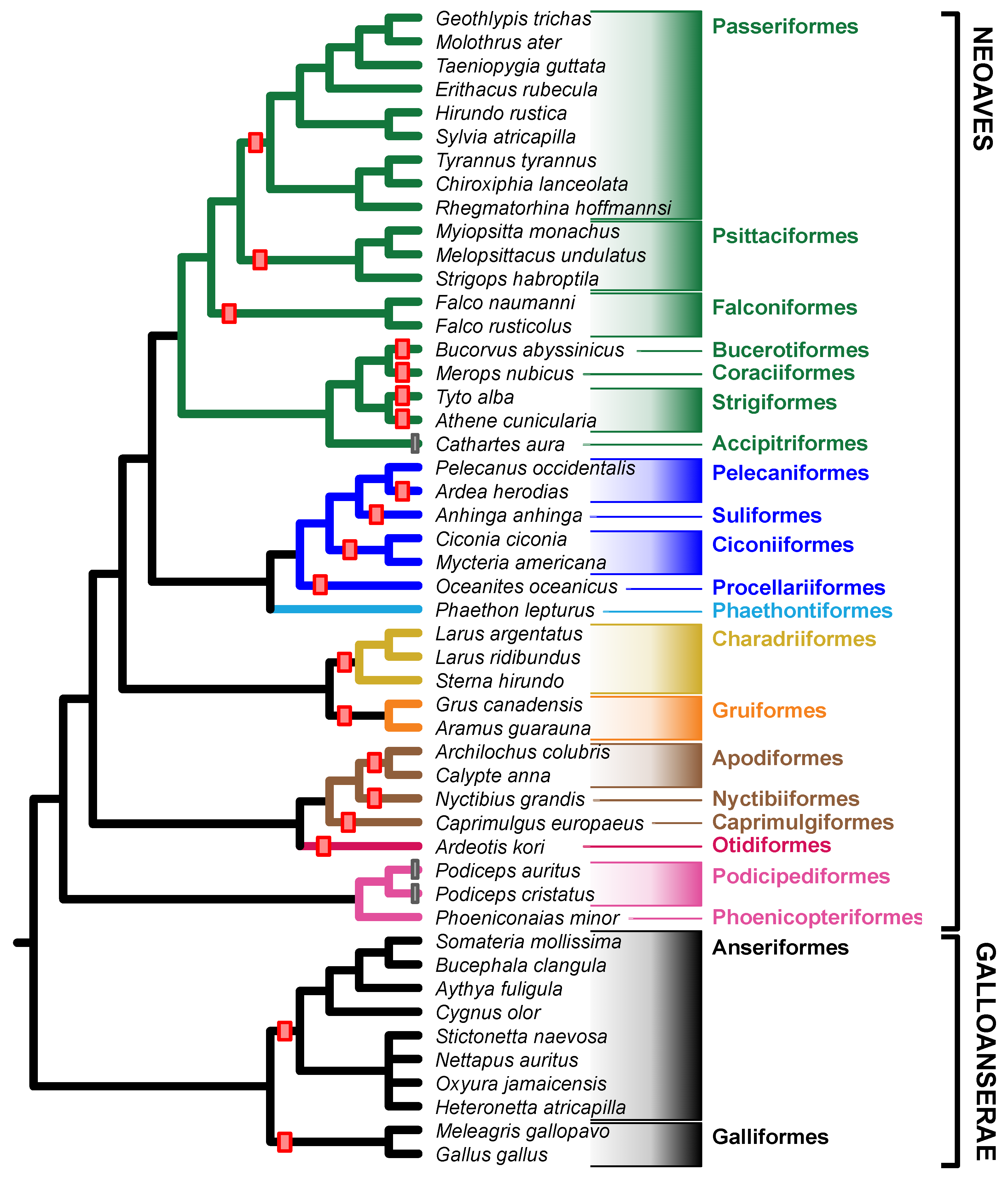 Birds 03 00004 g004 Birds 03 00004 g004